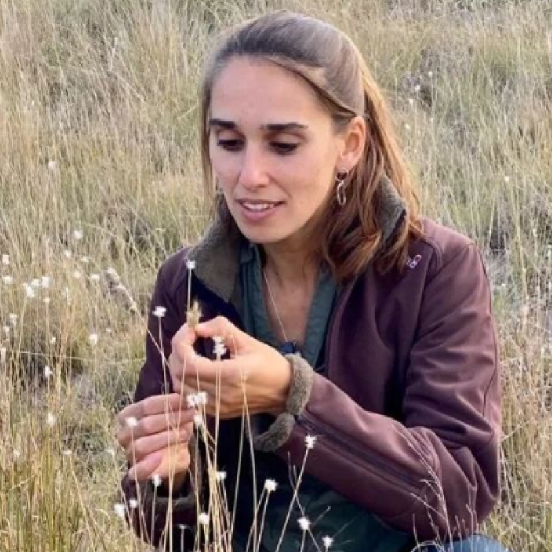 Clara MILANO Bióloga doctora. Investigadora de plantas leguminosas nativas y doctorado vinculado a la restauración ecológica. Productora de plantas nativas de la Pampa Arg. en Pampeanas. PLANTAS NATIVAS.