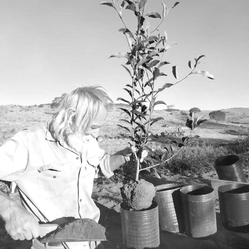 Juan Carlos DOMINGUEZ Ingeniero agrónomo y productor de plantas. HORTICULTURA Y ORNAMENTALES EXTENSIVAS