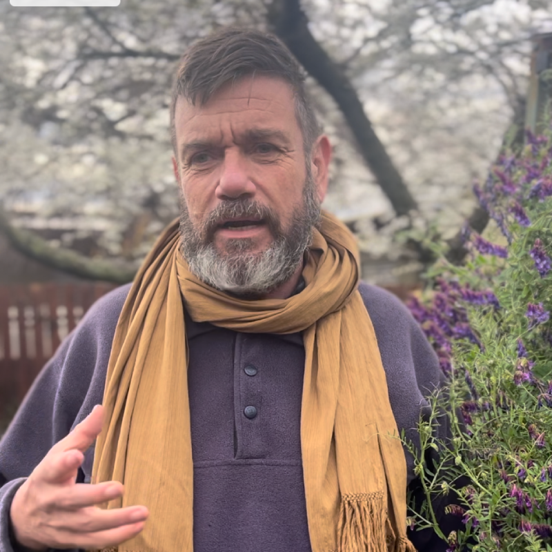 Sergio TOLETTI Ingeniero Agrónomo y educador agroecológico EL SUELO COMO ORGANISMO VIVO.