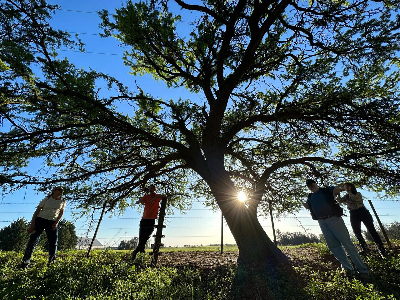 “𝐎𝐞𝐬𝐭𝐞 𝐍𝐚𝐭𝐢𝐯𝐨 𝐁𝐀”  recorrida guiada por Trenque Lauquen.