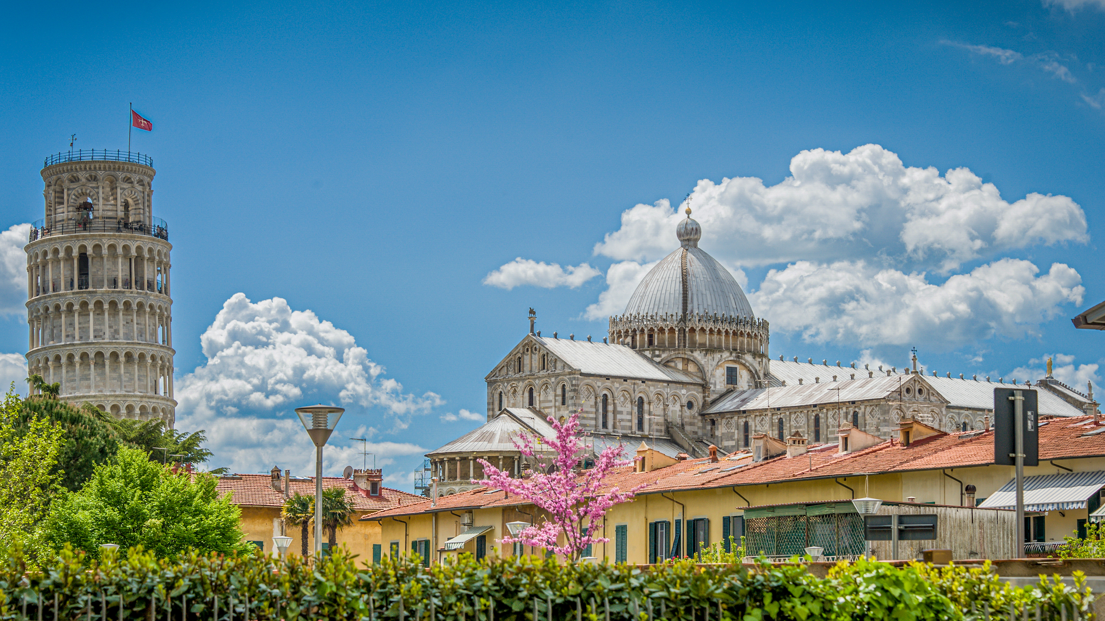 Pisa