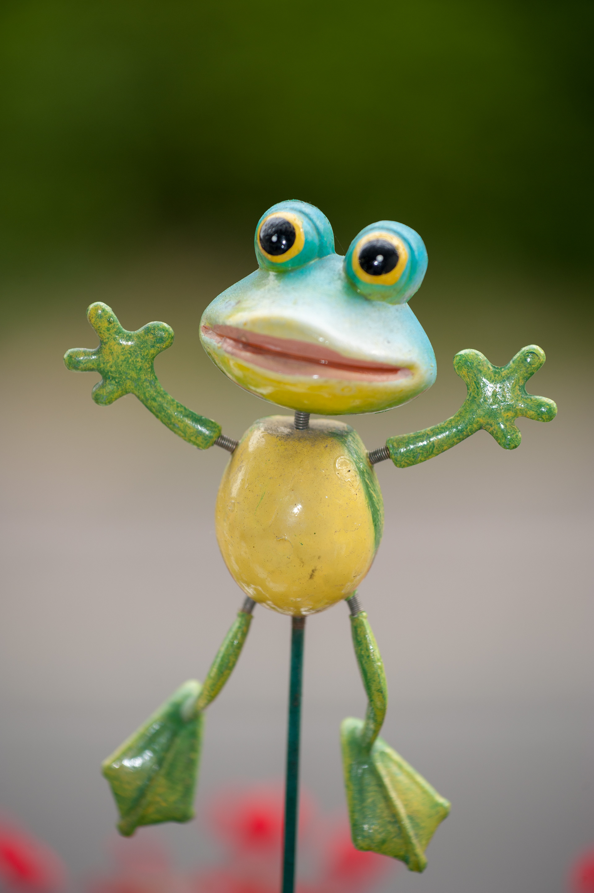 Frosch