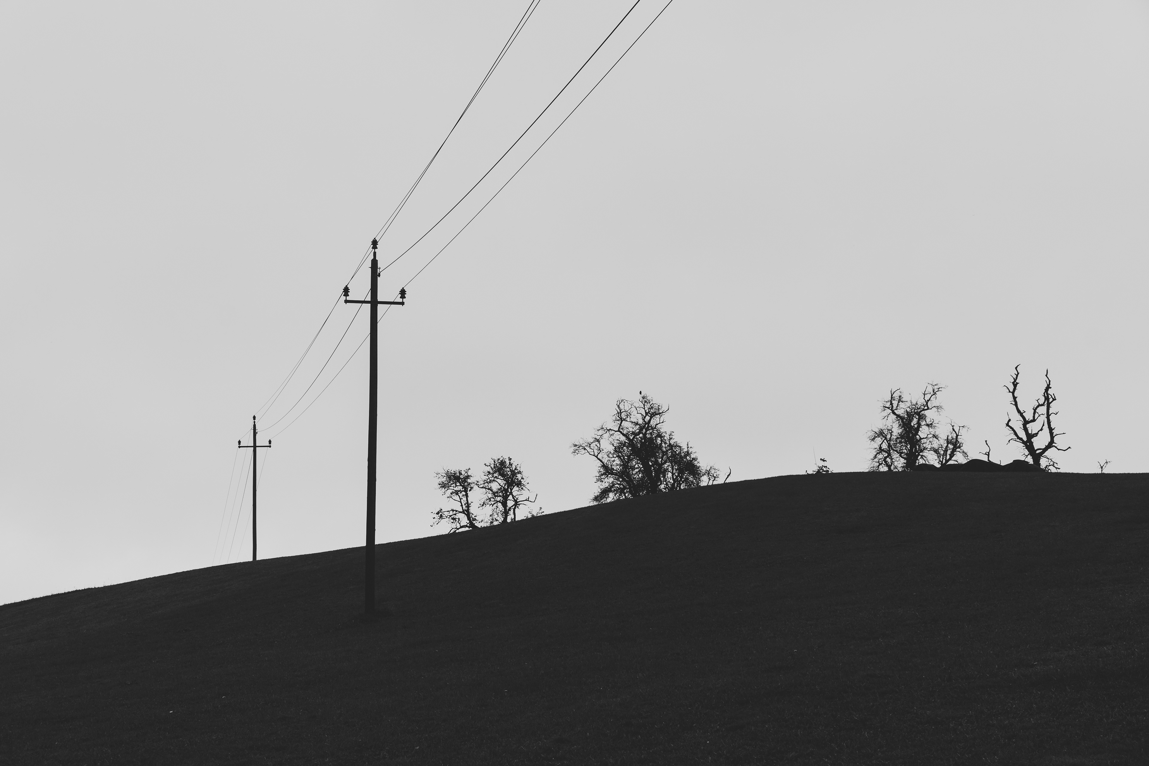 Horizont