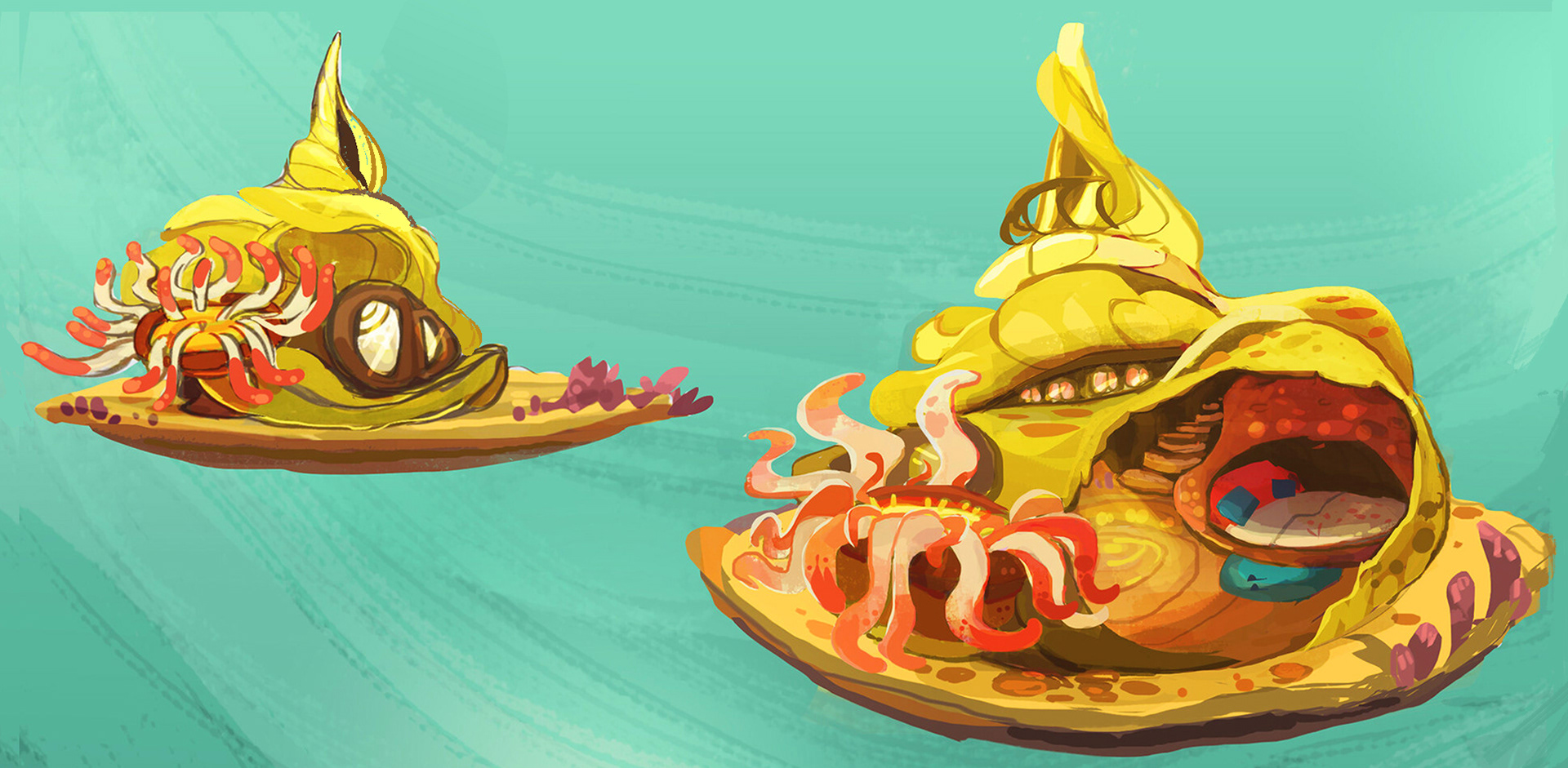 Shells houses concept