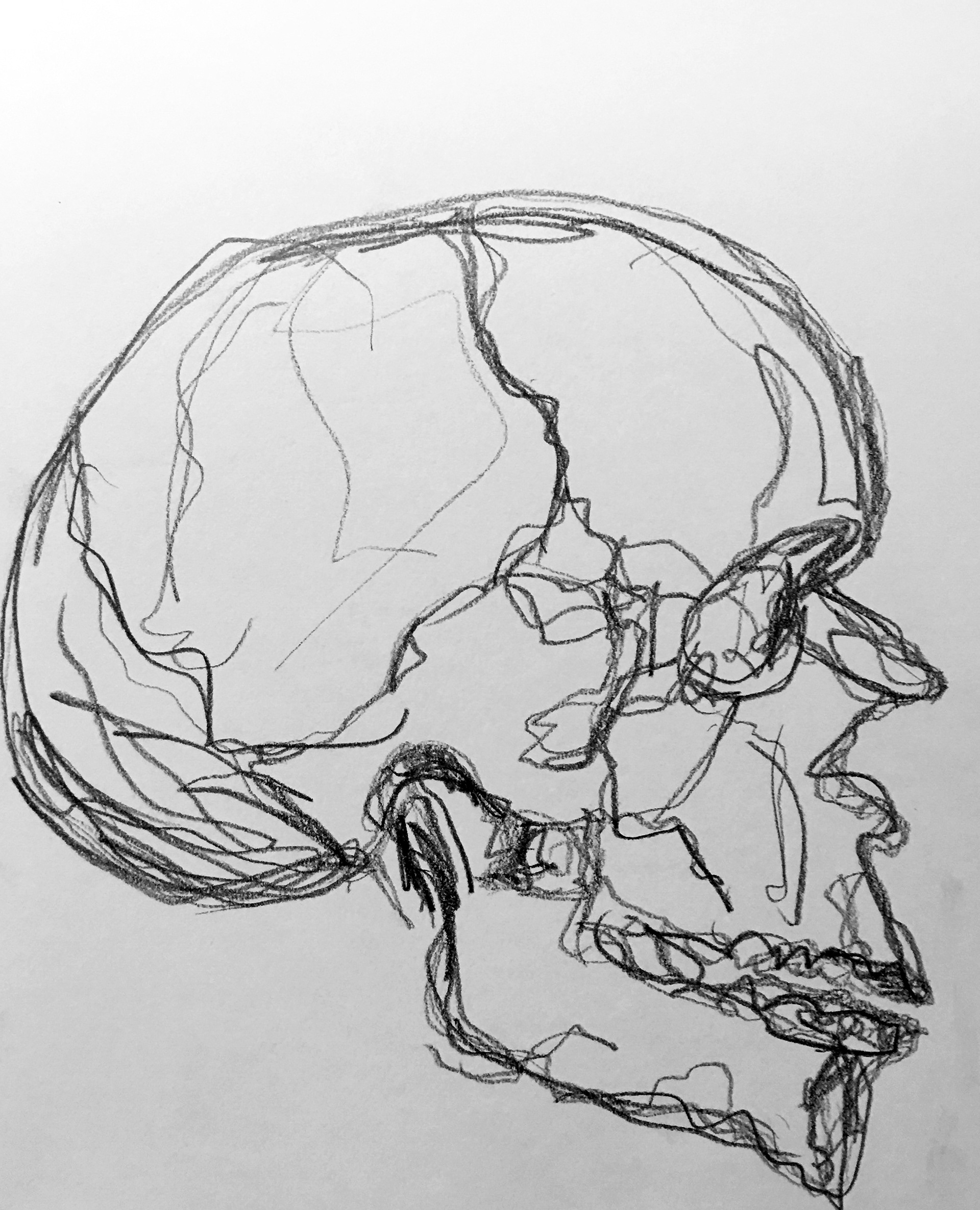 Skull, 2015