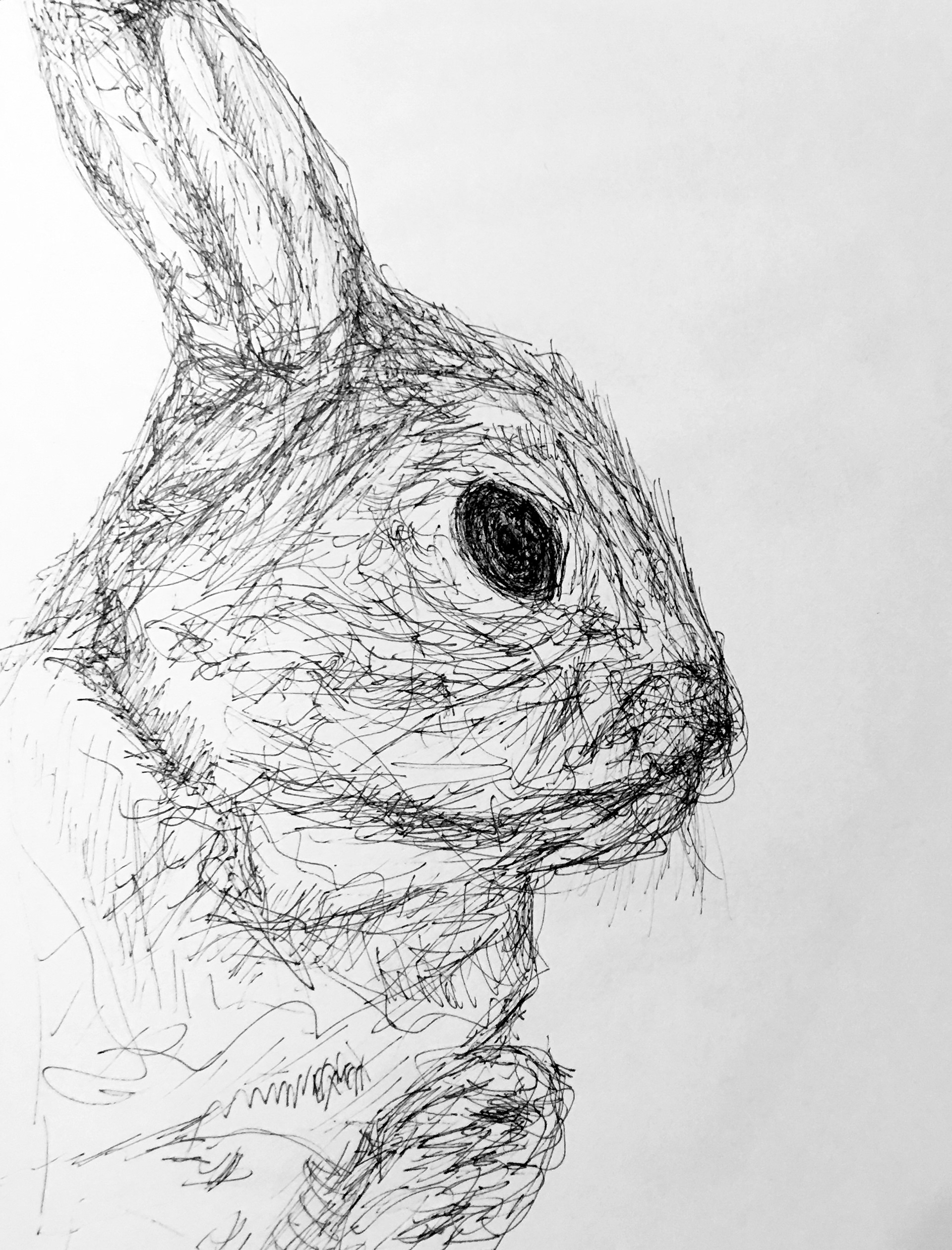 White Rabbit, 2016