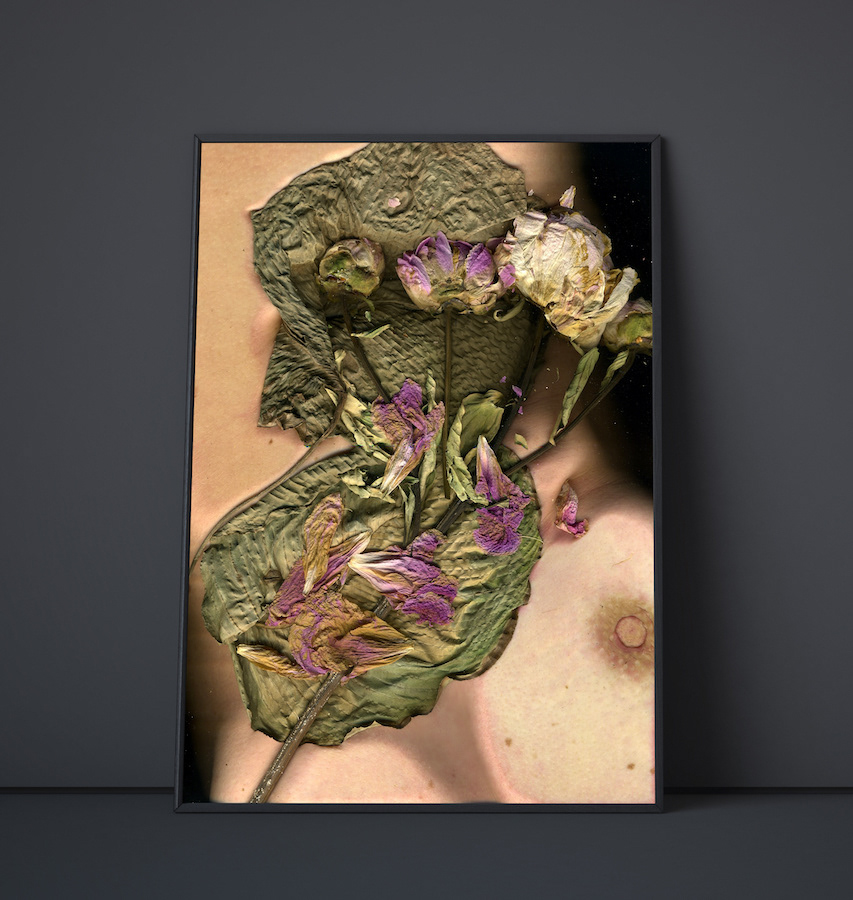 Sorrow for a Dying Blossom, 2020