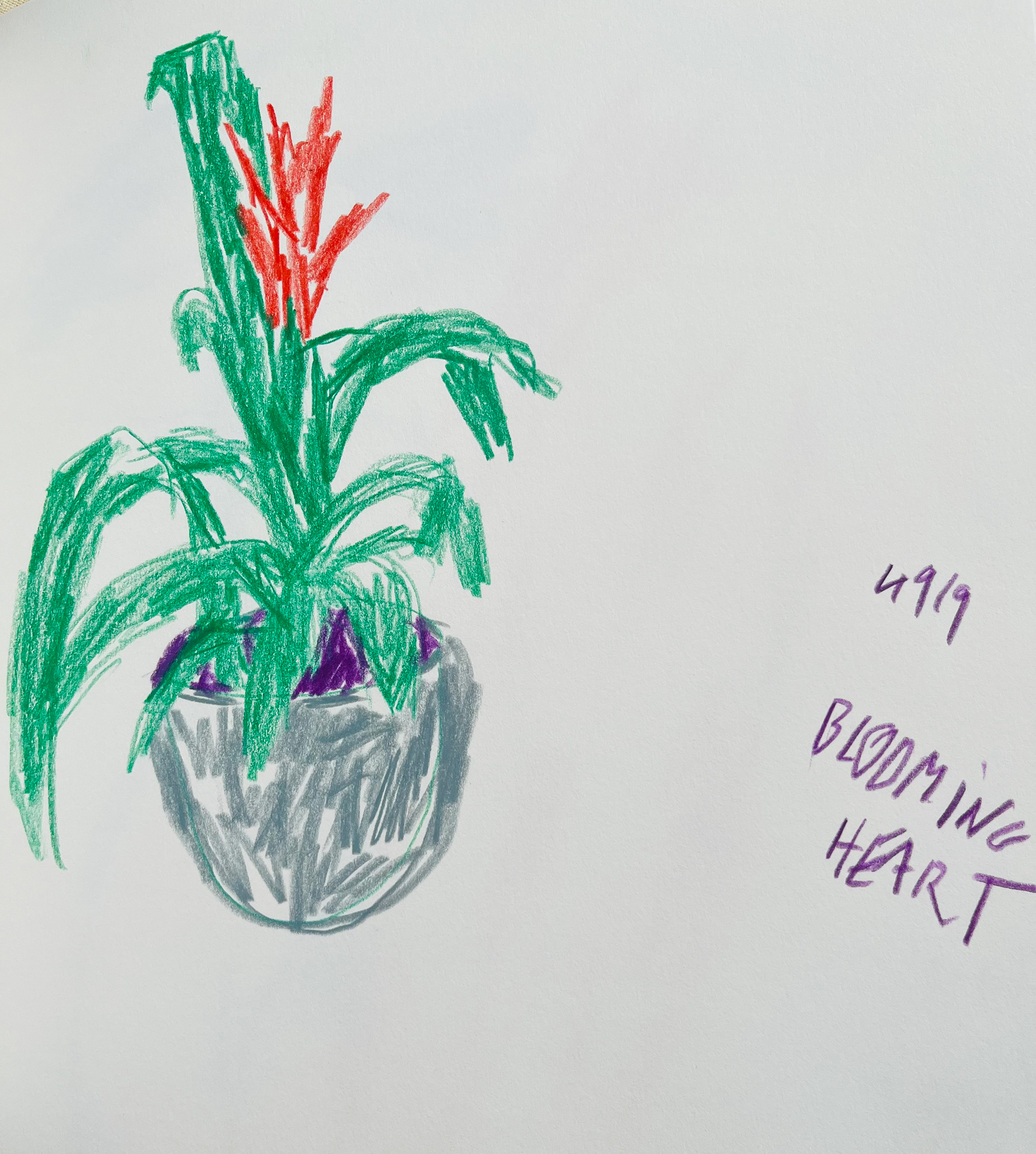 Blooming Heart, 2019