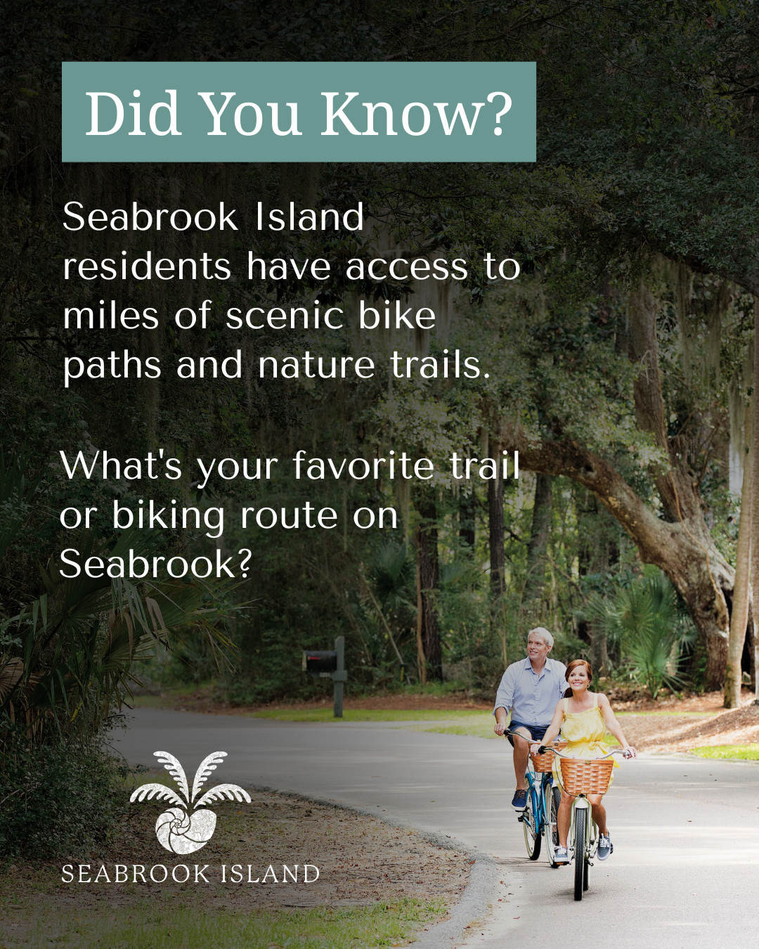 Work produced while interning at The Design Group - Client: Seabrook Island