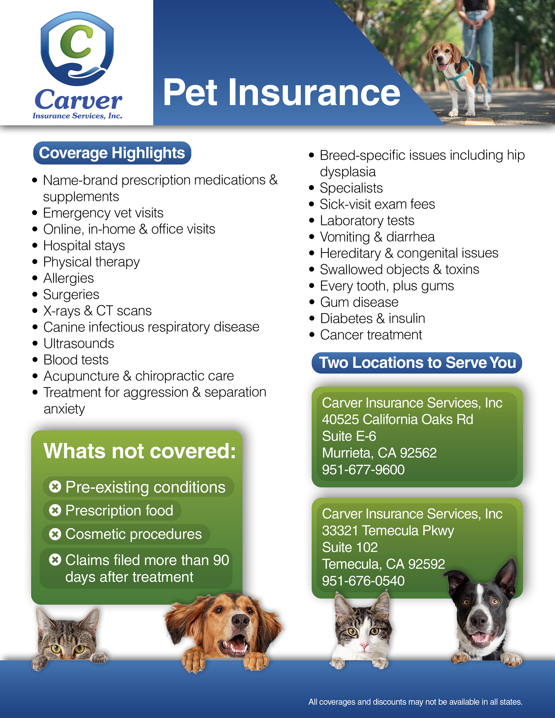 Pet Insurance Flyer for Carver Insurance