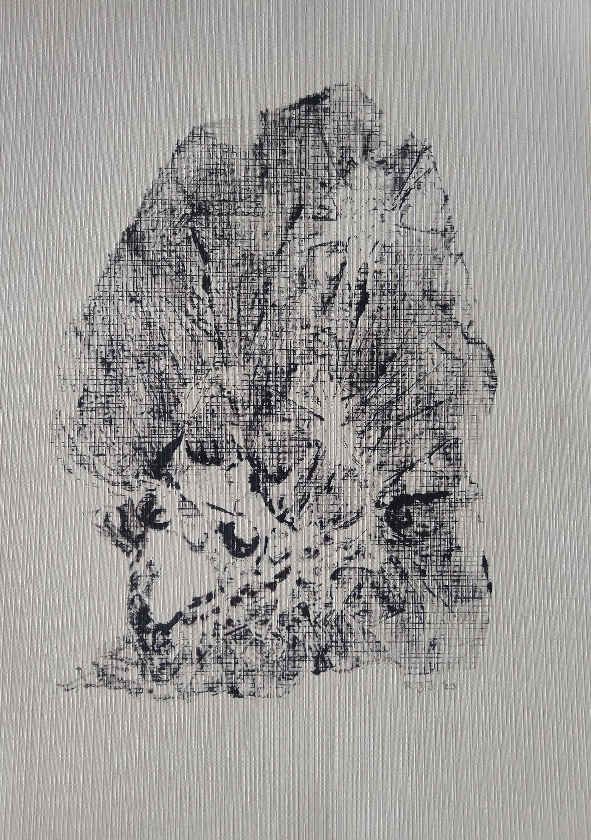 fauna fantasia 5