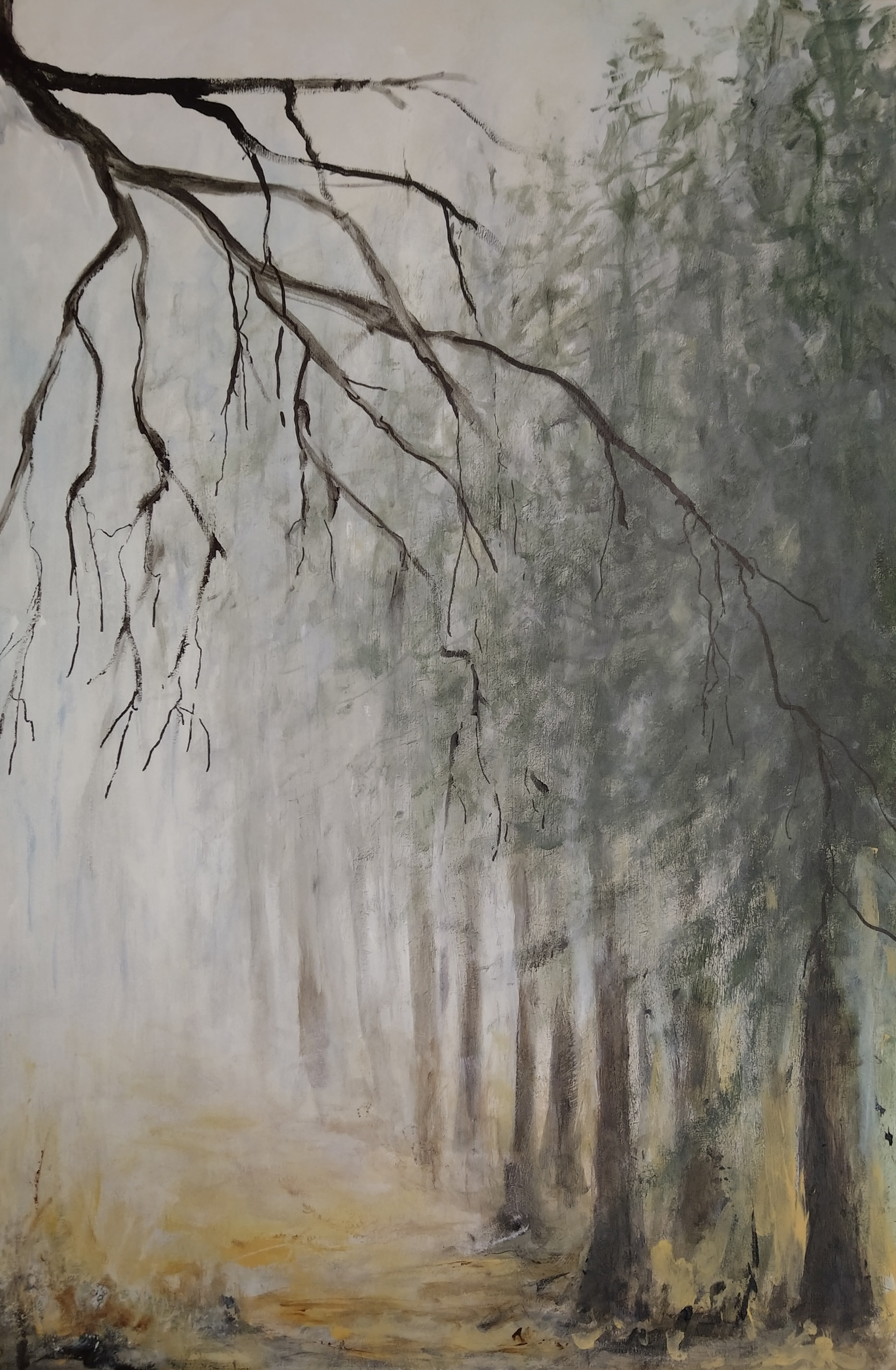 Drents-Friese Wold 4 ;