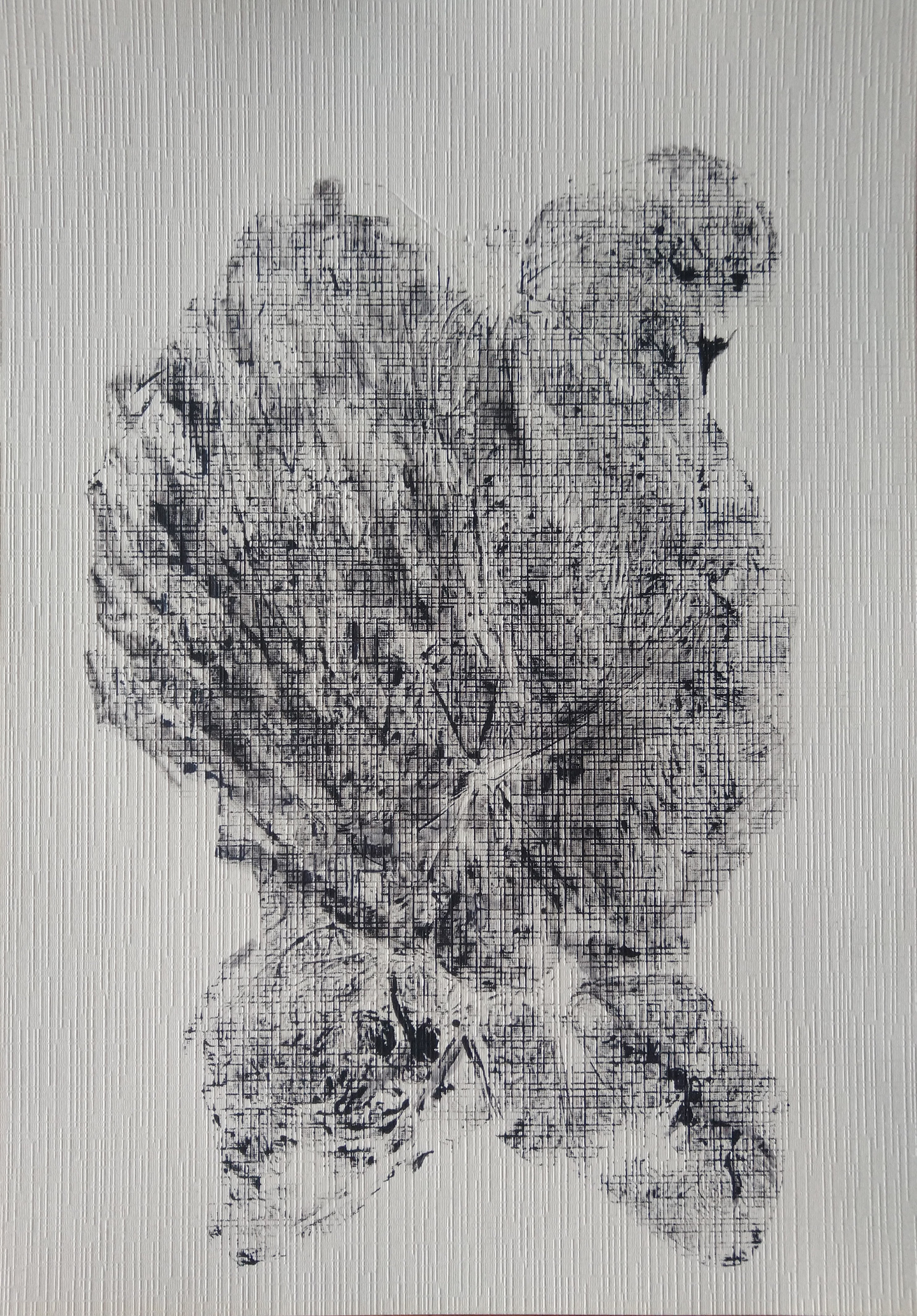 fauna fantasia 8