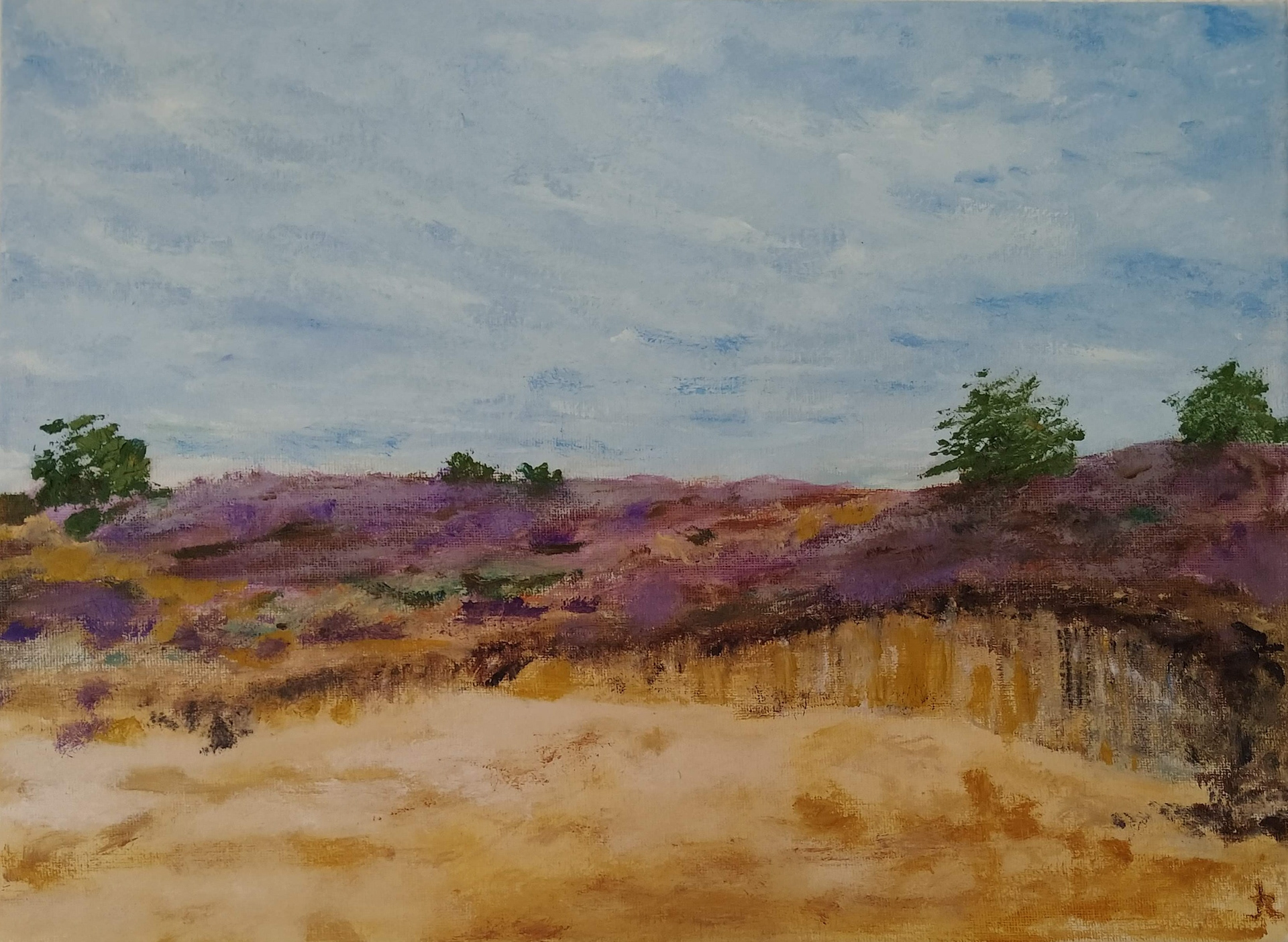 Aekingerzand 2 ; olieverf op canvas