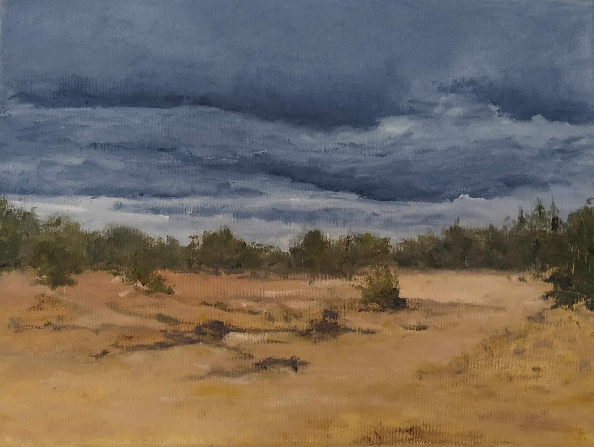 Aekingerzand 3 ; olieverf op canvas