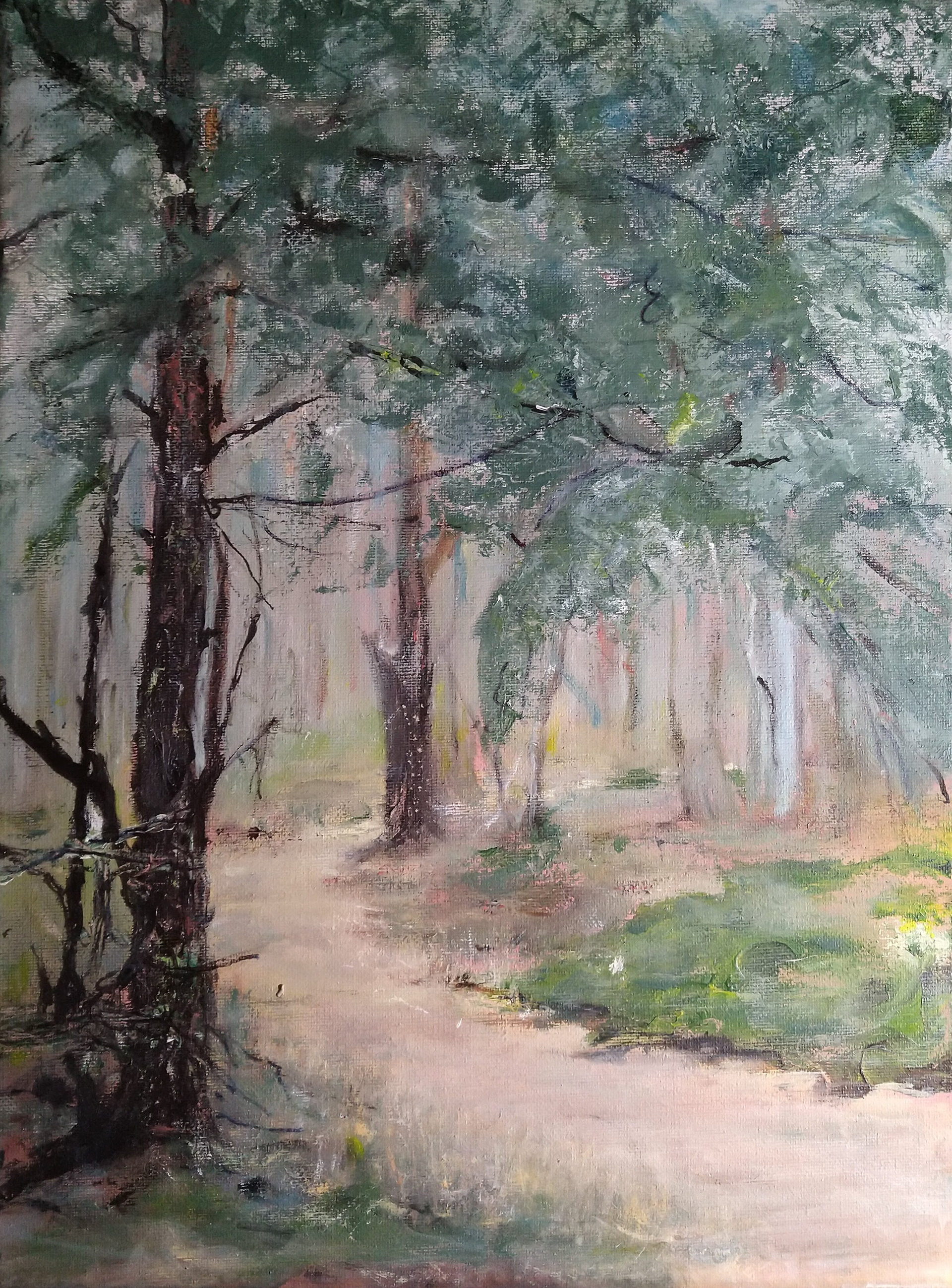 Drents-Friese Wold 2 ;