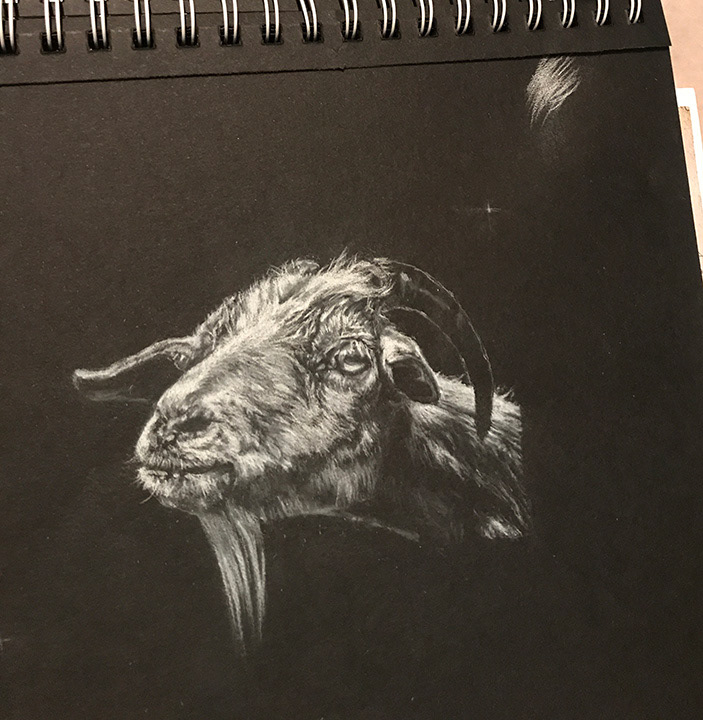 Here you can see I'm beginning to fill in the horn area.