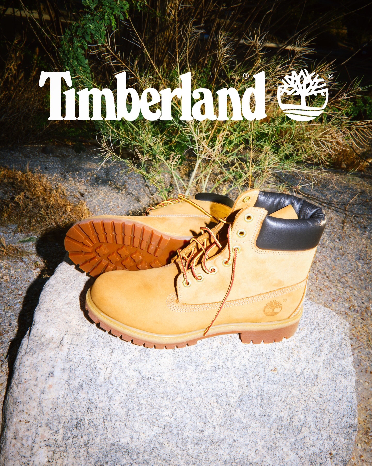 Timberland - desert