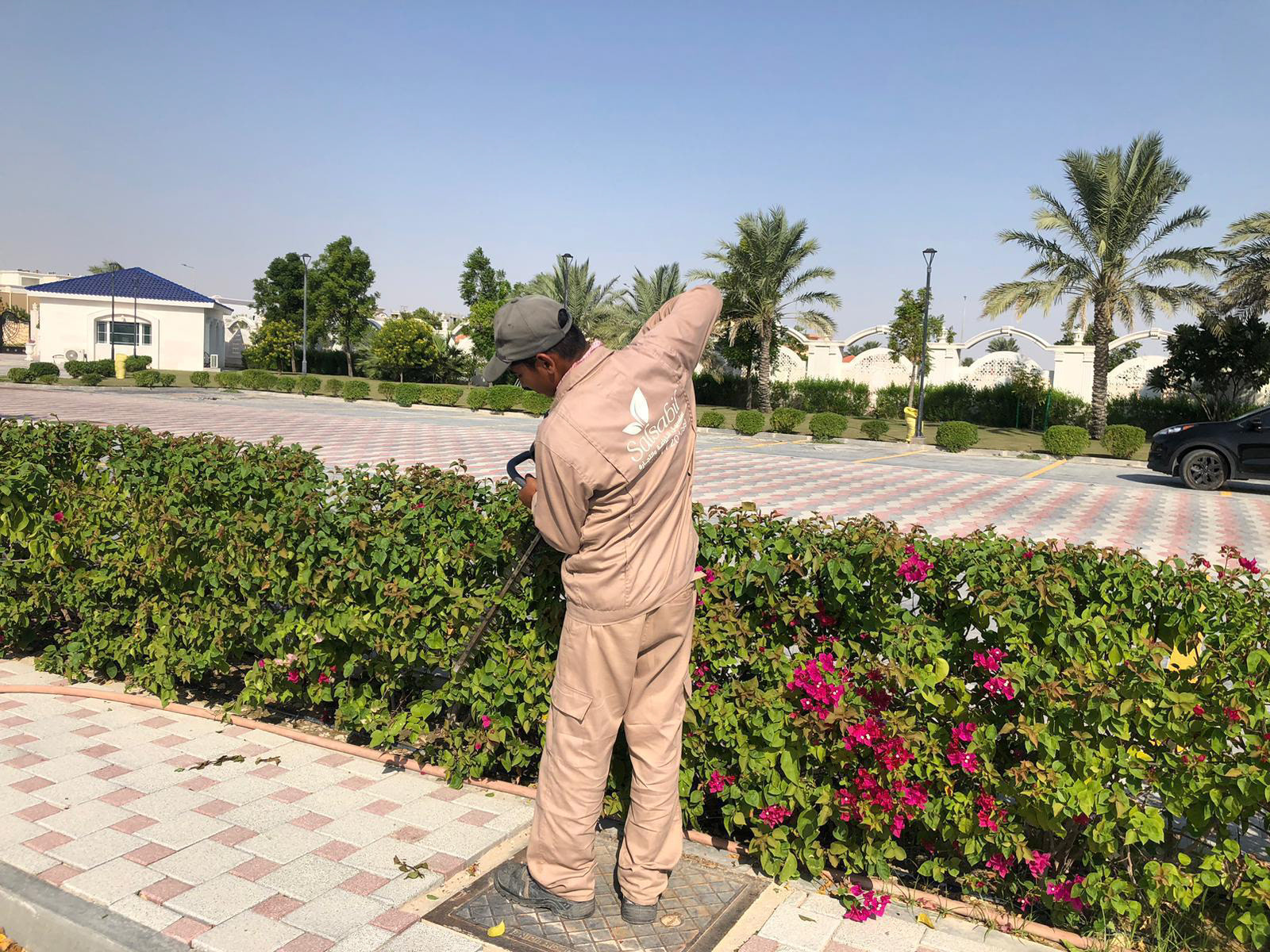 تنسيق مساحات خضراء وزراعة ثيل طبيعي لفيلا خاصة، تصميم لاندسكيب متكامل