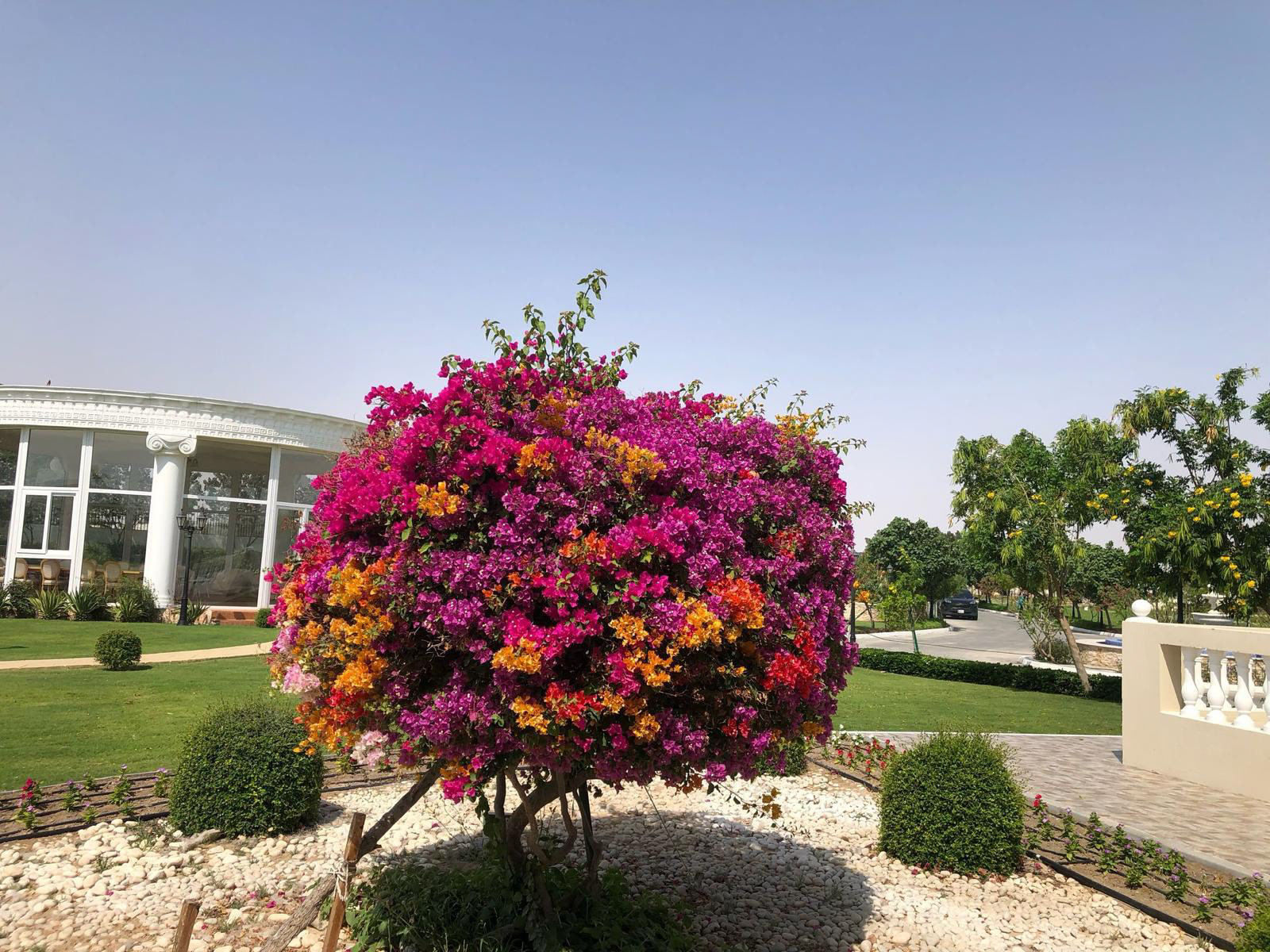 التصميم النهائي لمشروع لاندسكيب متكامل يدمج بين الطبيعة والفخامة في قطر