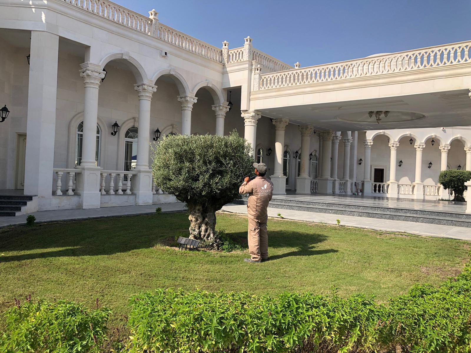 زراعة أشجار النخيل ونباتات الزينة الخارجية المقاومة للحرارة في حديقة بقطر