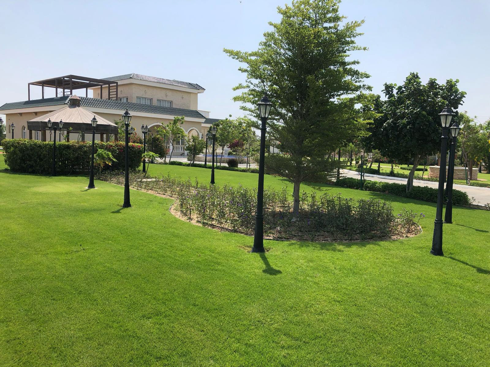  مساحات خضراء وزراعة ثيل طبيعي ، تصميم لاندسكيب متكامل