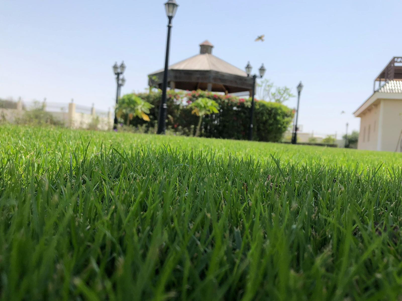 التصميم النهائي لمشروع لاندسكيب متكامل يدمج بين الطبيعة والفخامة في قطر