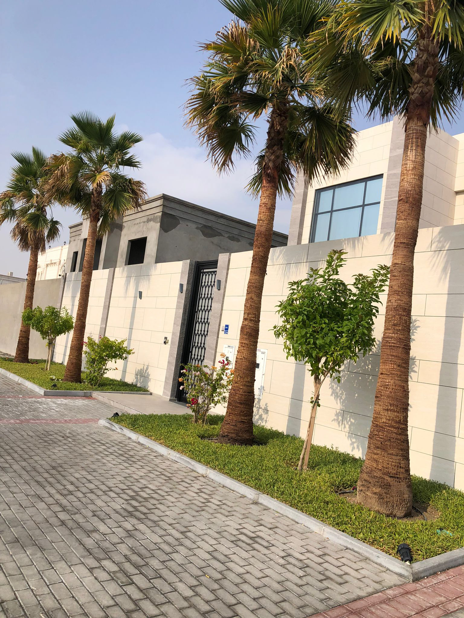 تنسيق حديقة خارجية مع إضاءة ليلية عصرية وممرات حجرية في الدوحة