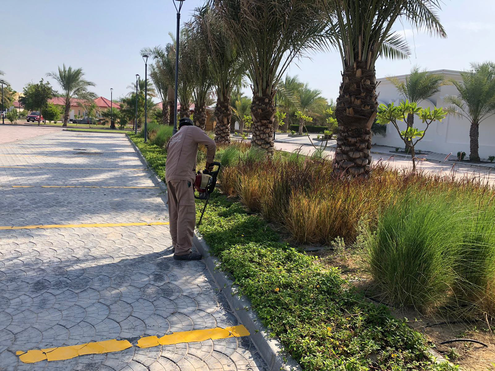 تنسيق مساحات خضراء وزراعة ثيل طبيعي لفيلا خاصة، تصميم لاندسكيب متكامل