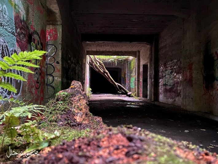 Lost Place