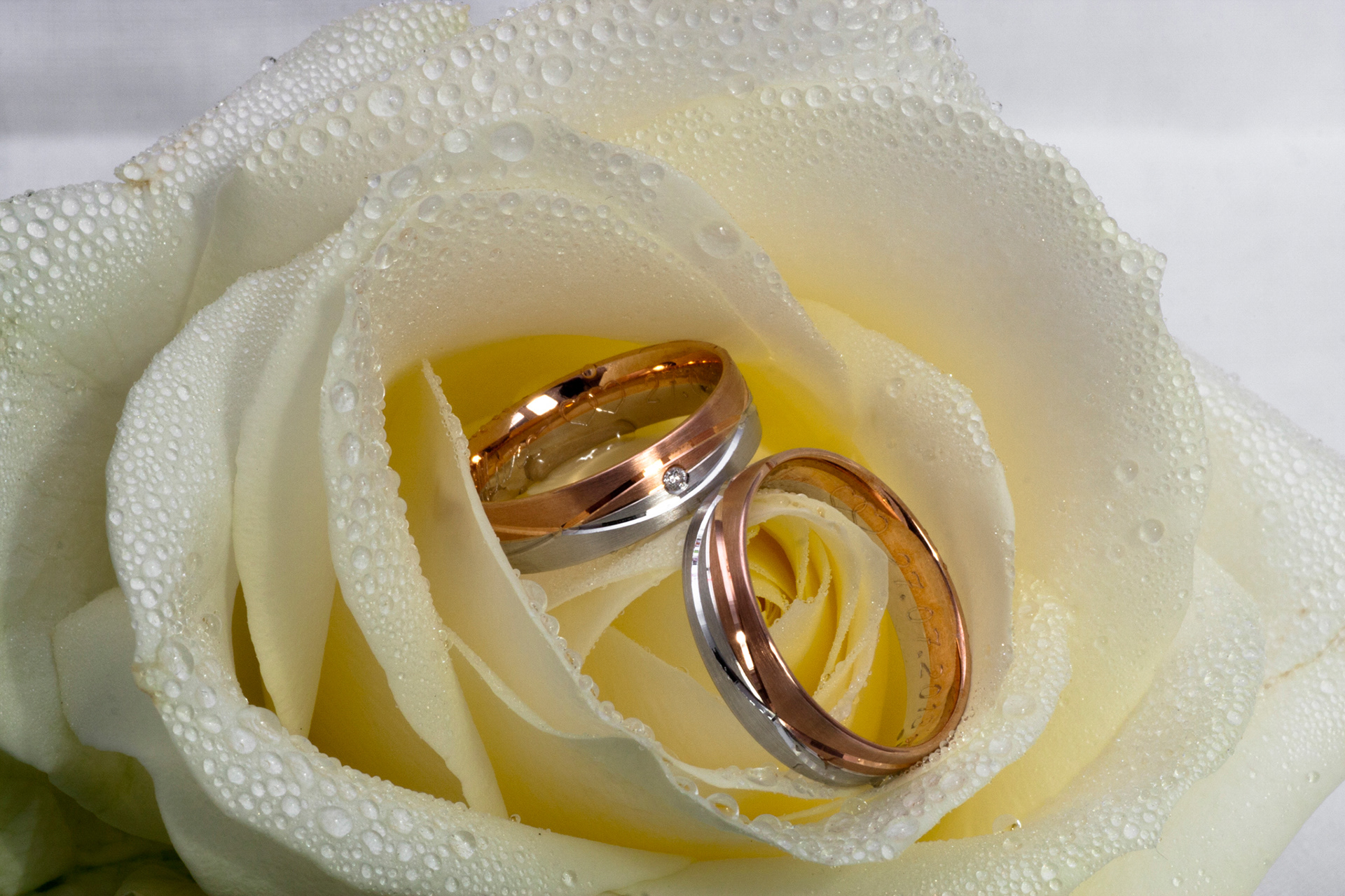 wedding rings Sandra & Marc