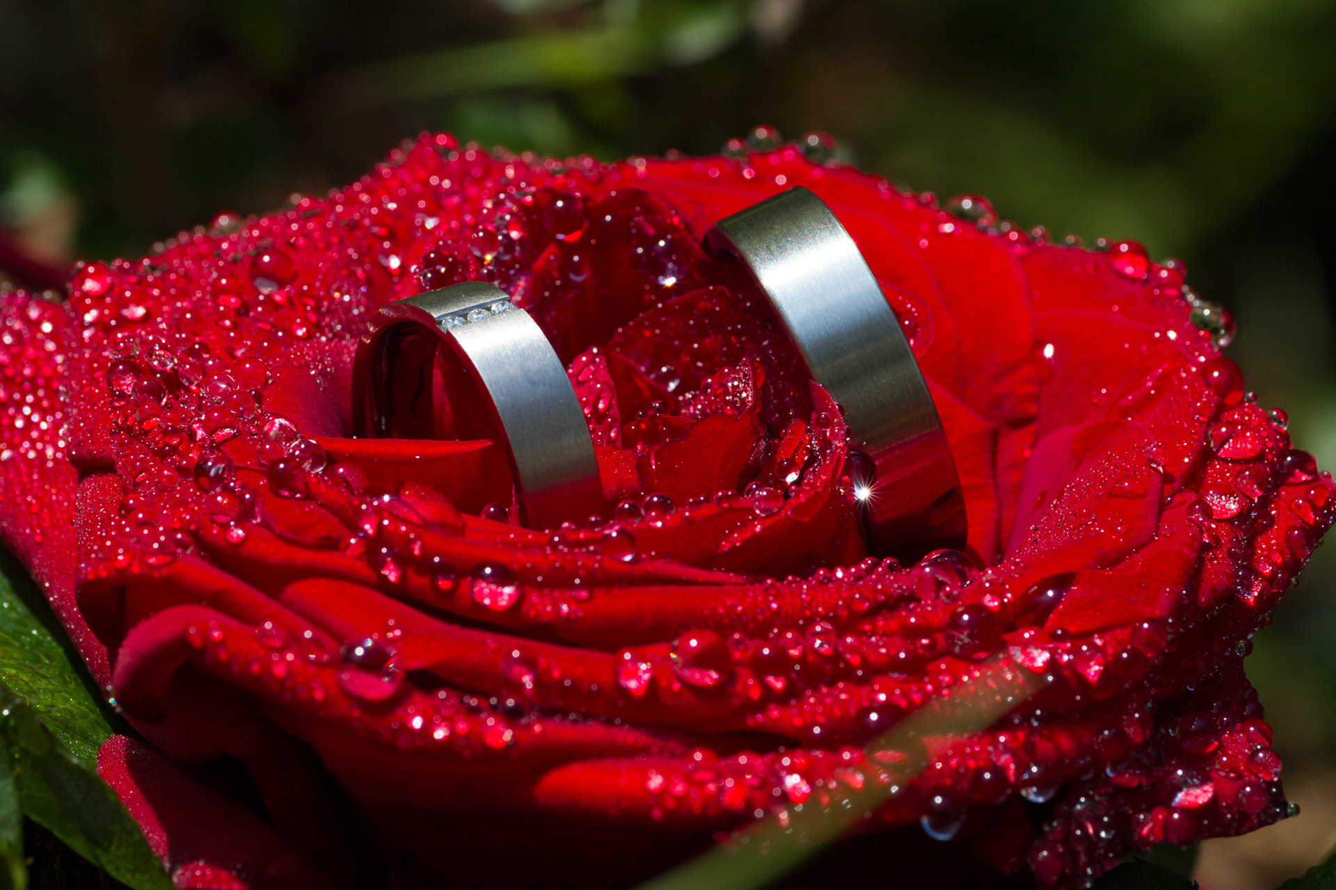 wedding rings Anja & Andreas