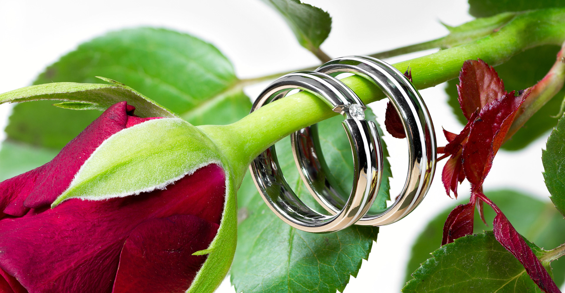 wedding rings Ute & David