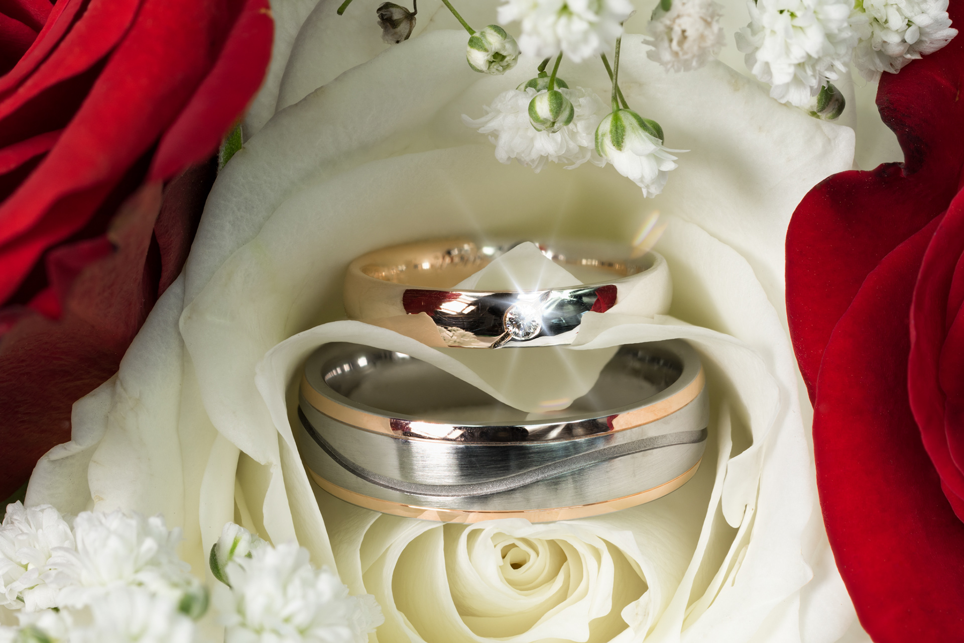 wedding rings Olivia & Stephan