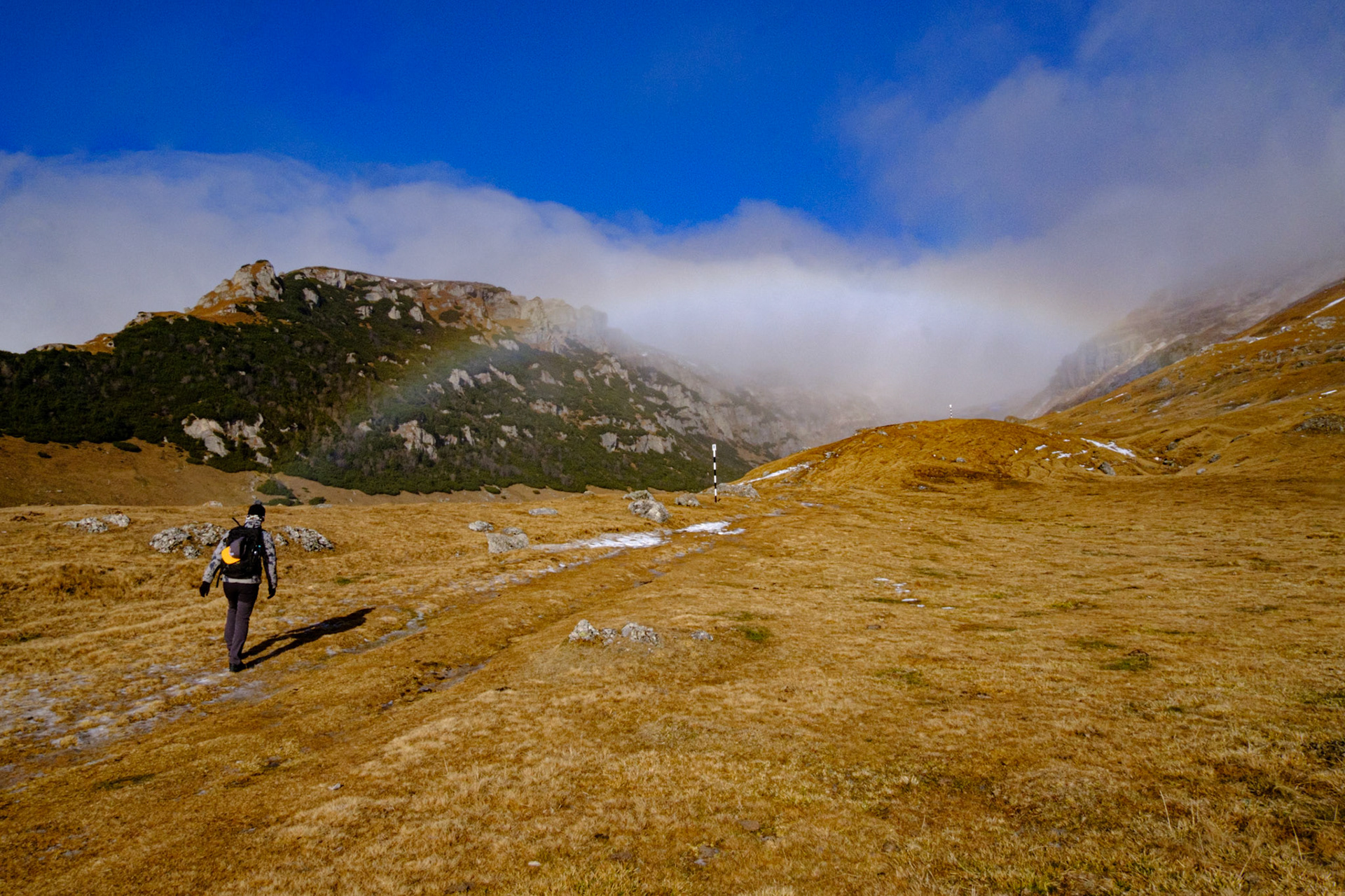 Chasing Rainbows in Bucegi Mountains