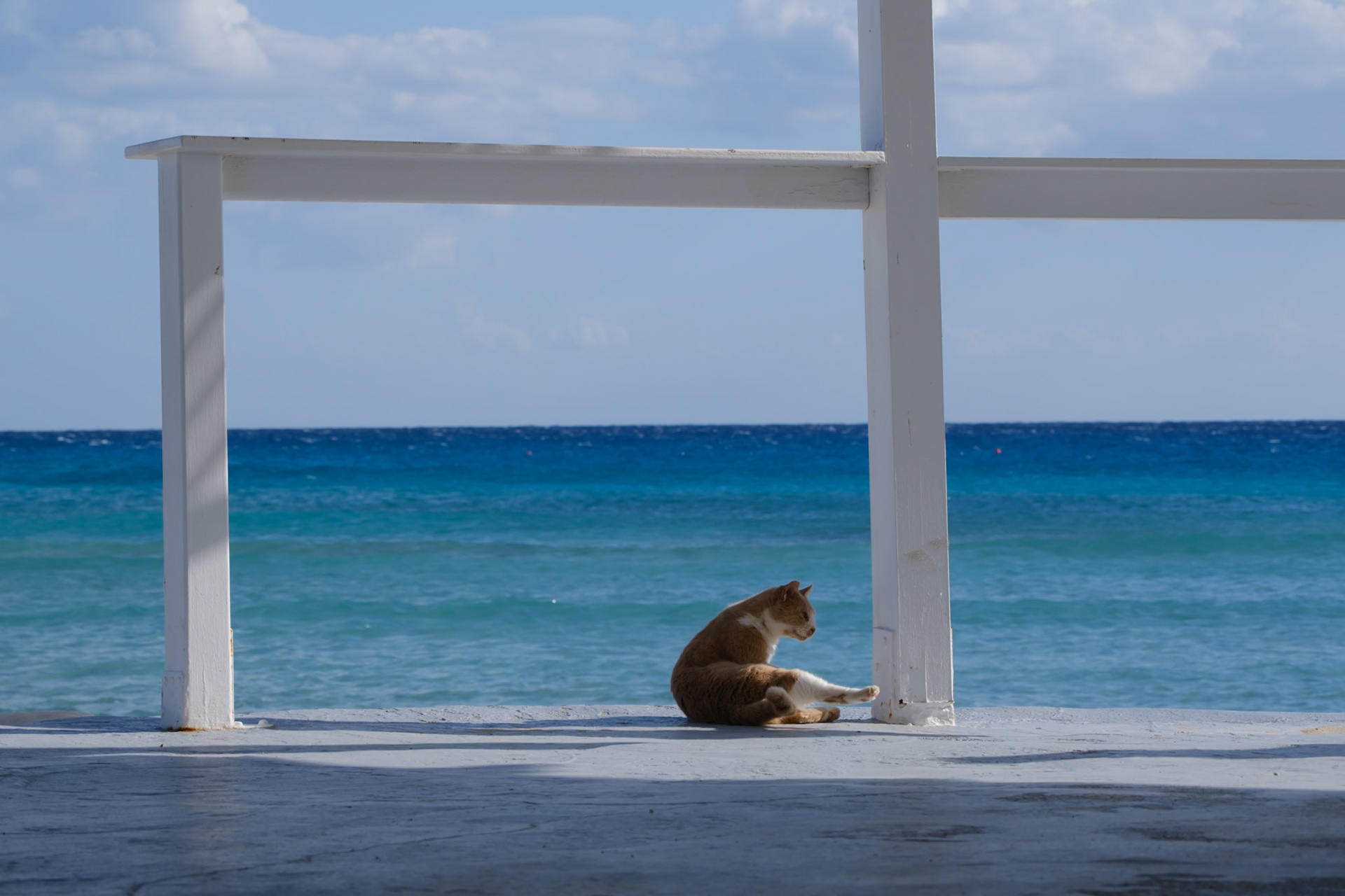 Just enjoy the ride, Cyprus
