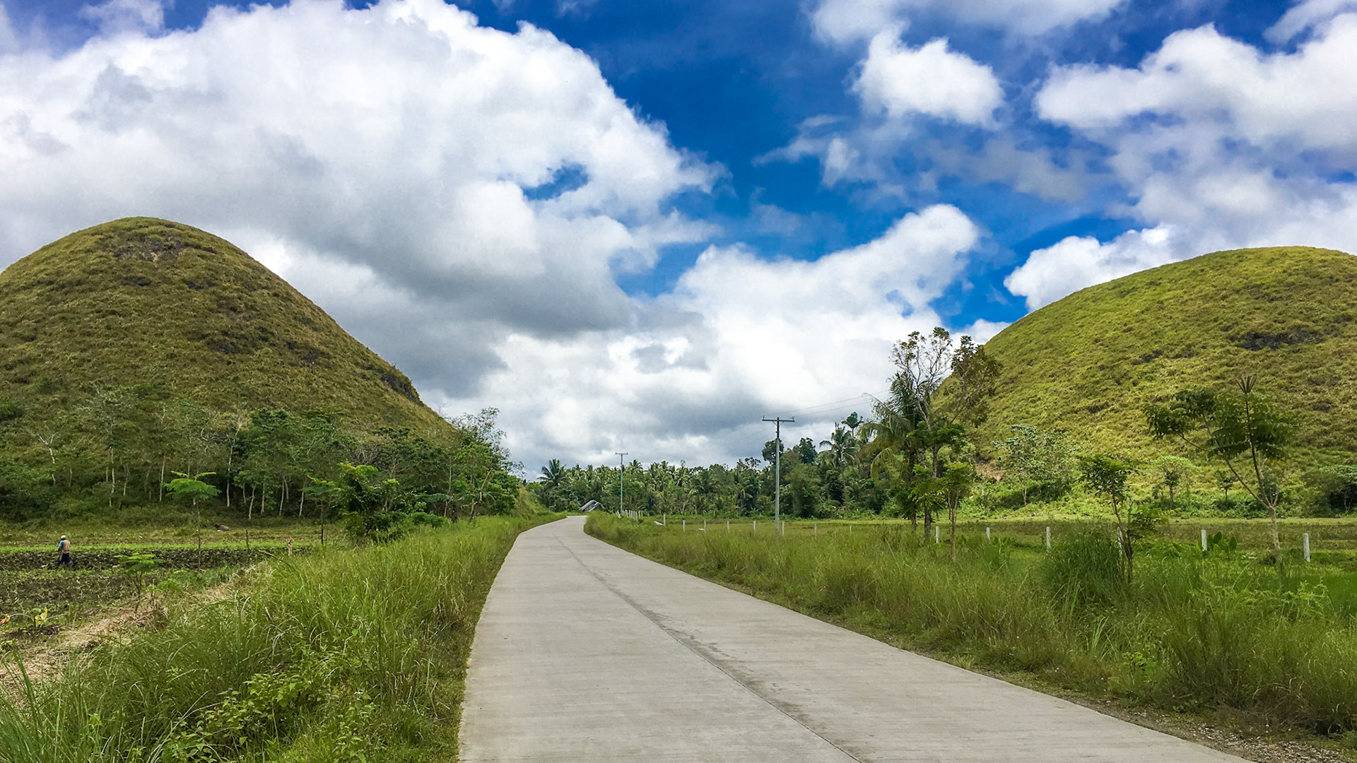 Bohol Chocolate Hills