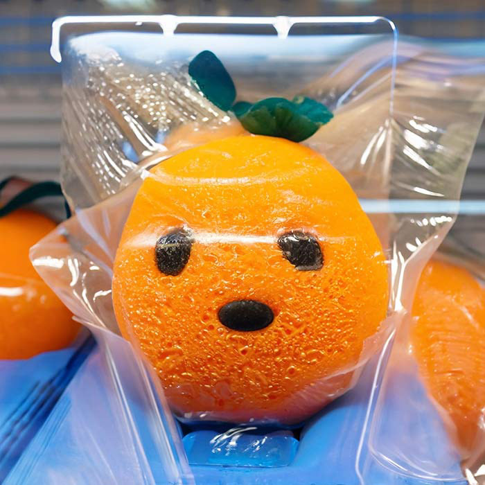 Éponge orange sous plastique