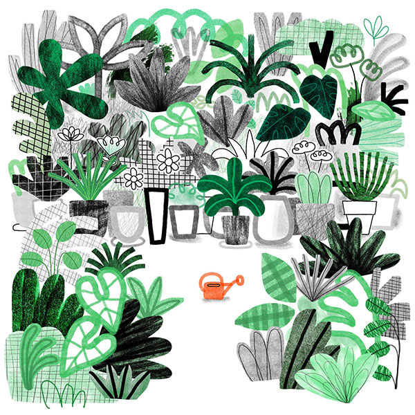 Plants