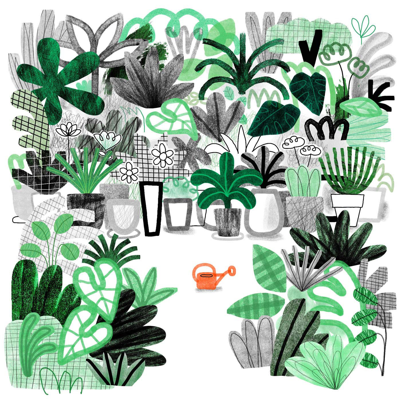 Dessin plantes vertes