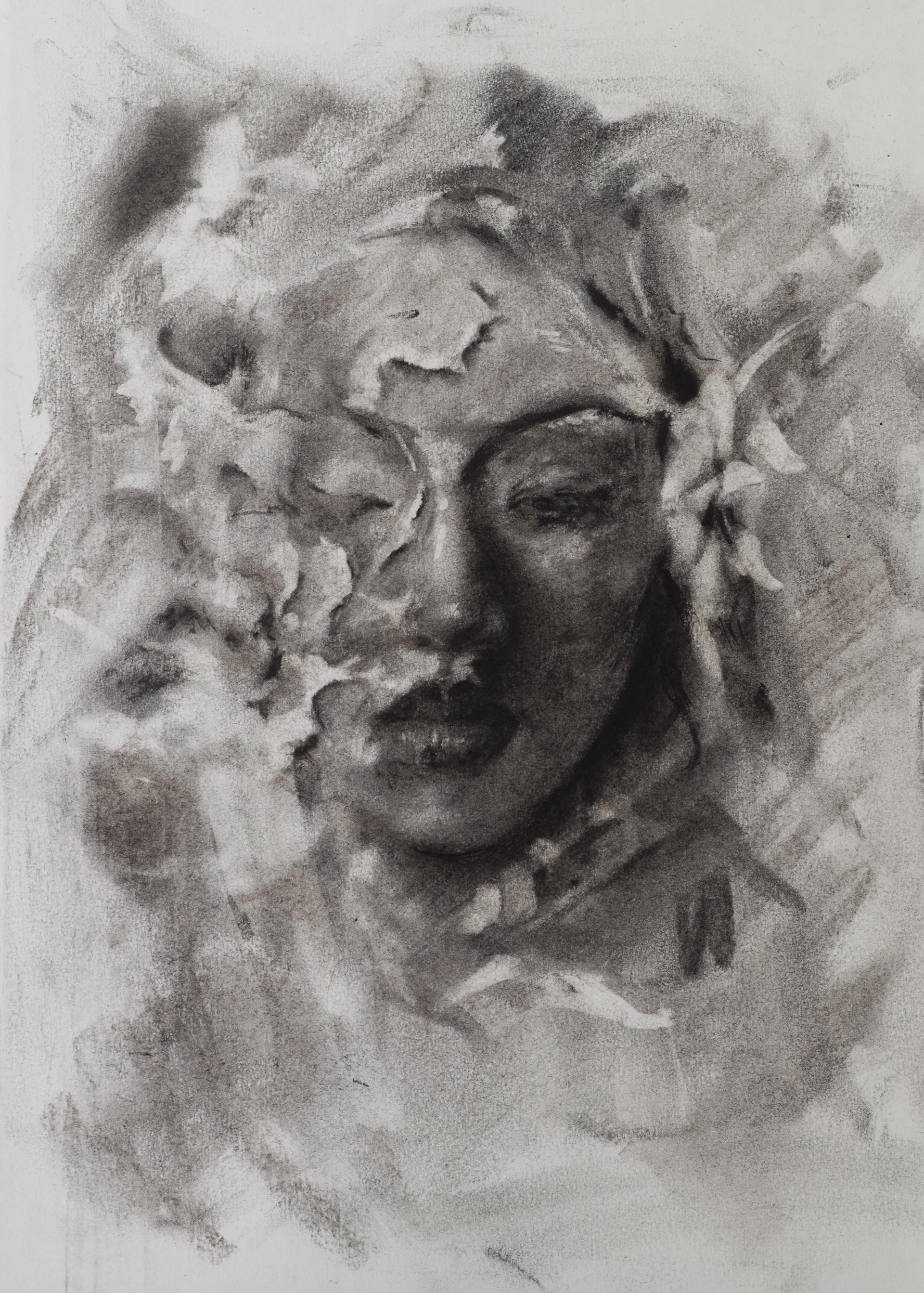 "Of Shadows and Paper"