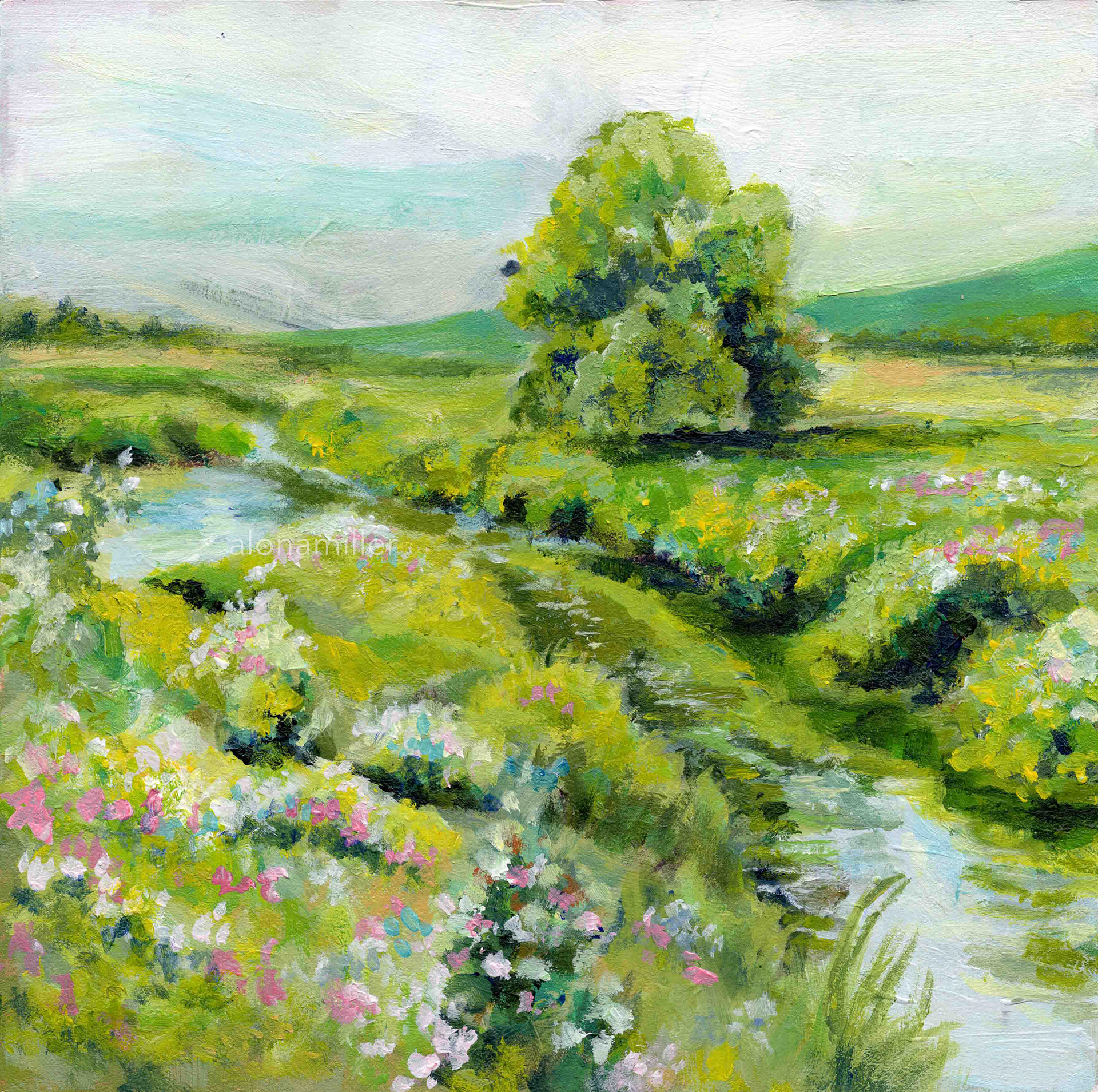 The Meadow