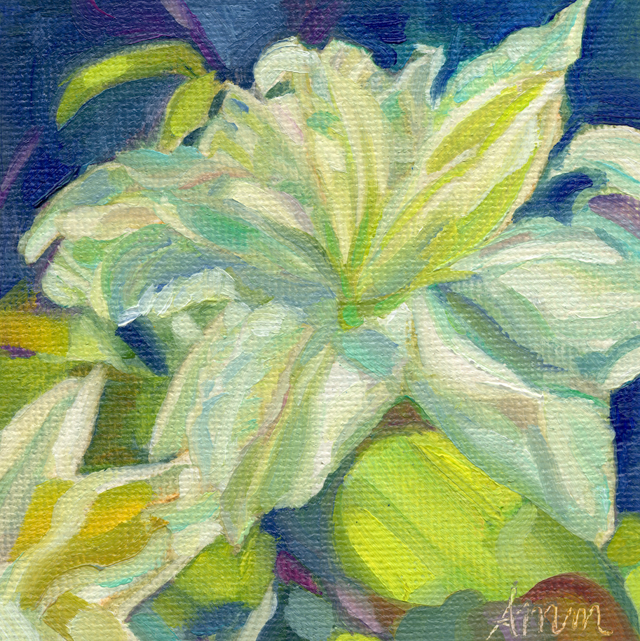 Rose Lily