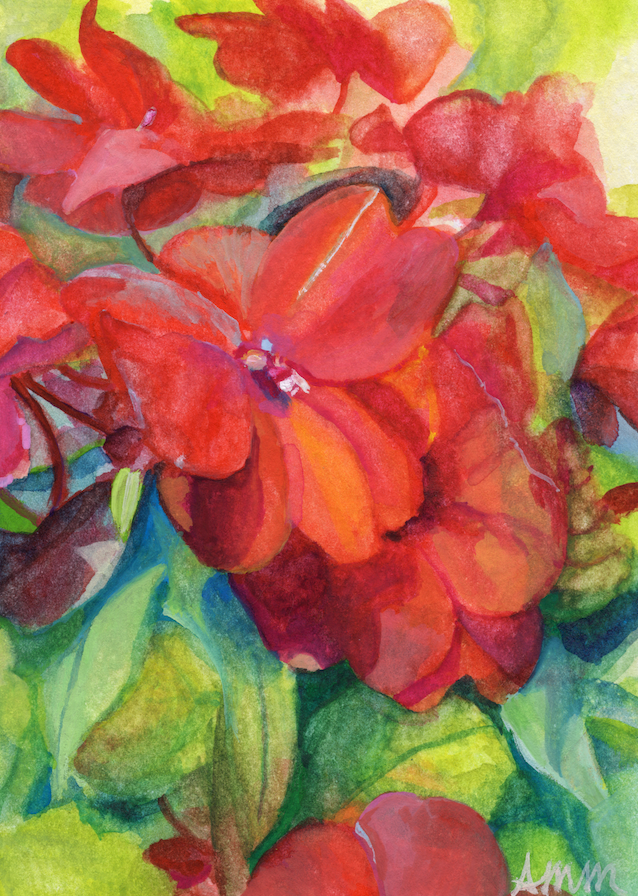"Impatiens"