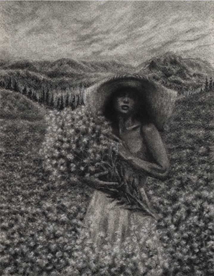 "Shadows of Life"