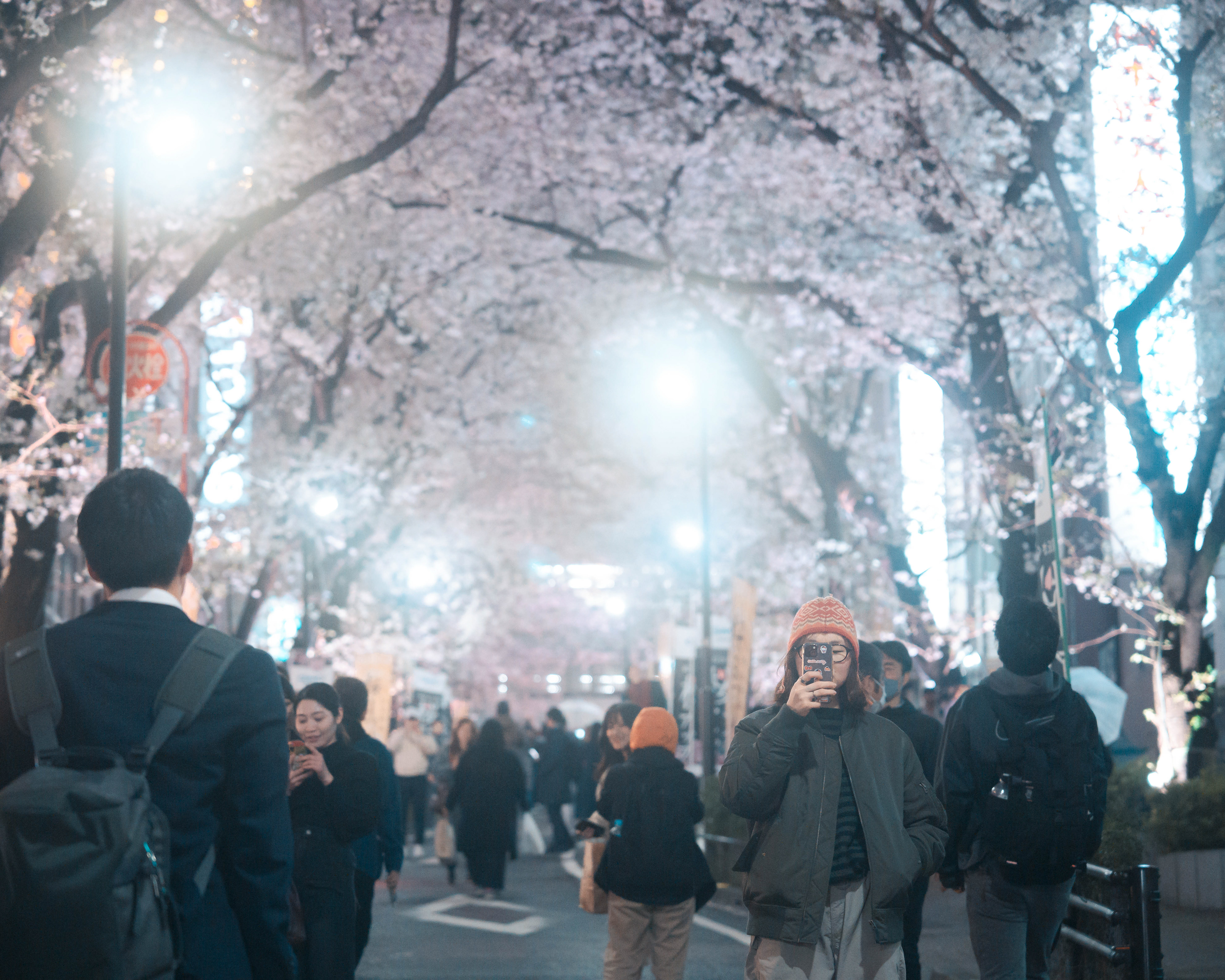 JAPAN 2024: Sakura Street
