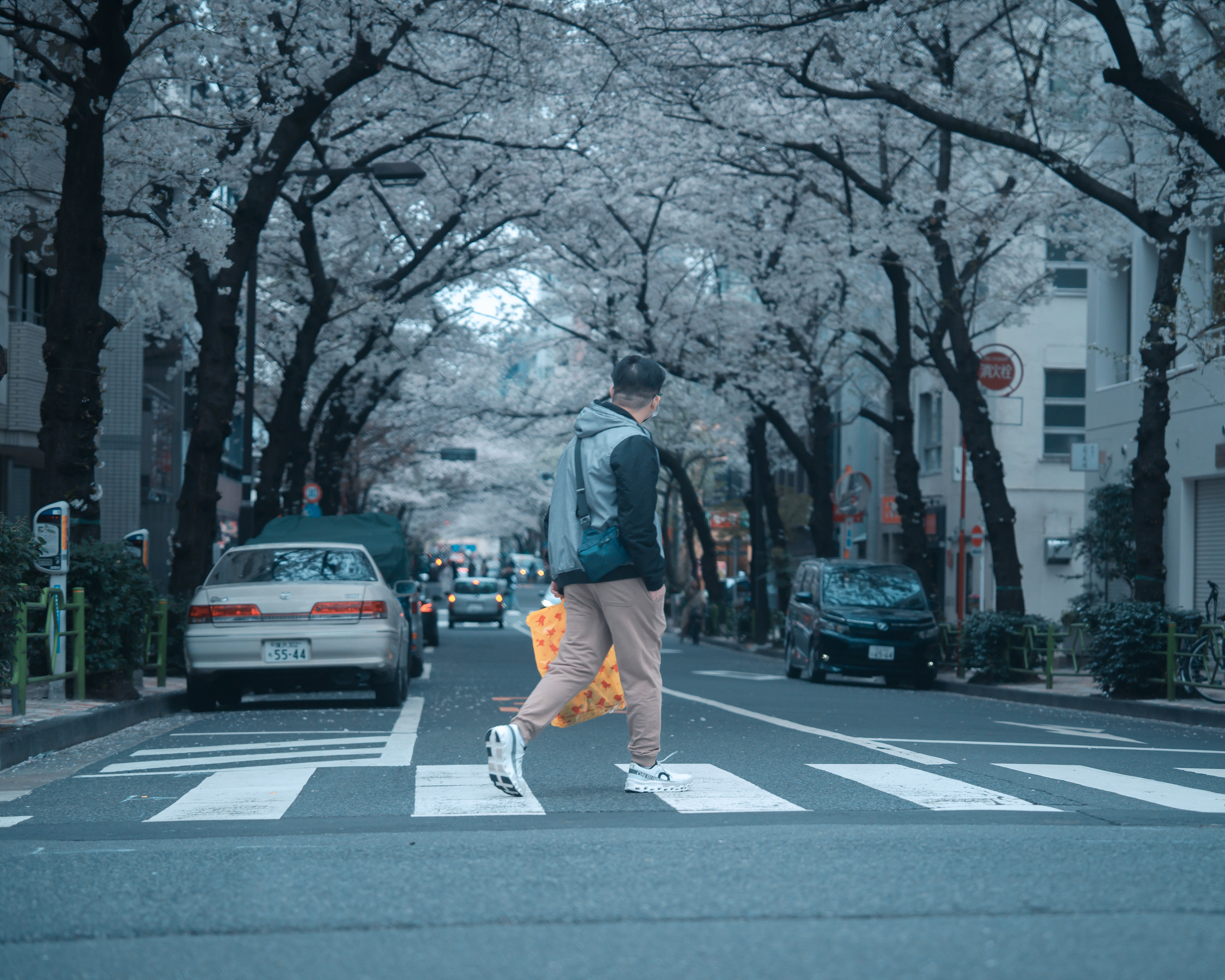 JAPAN 2024