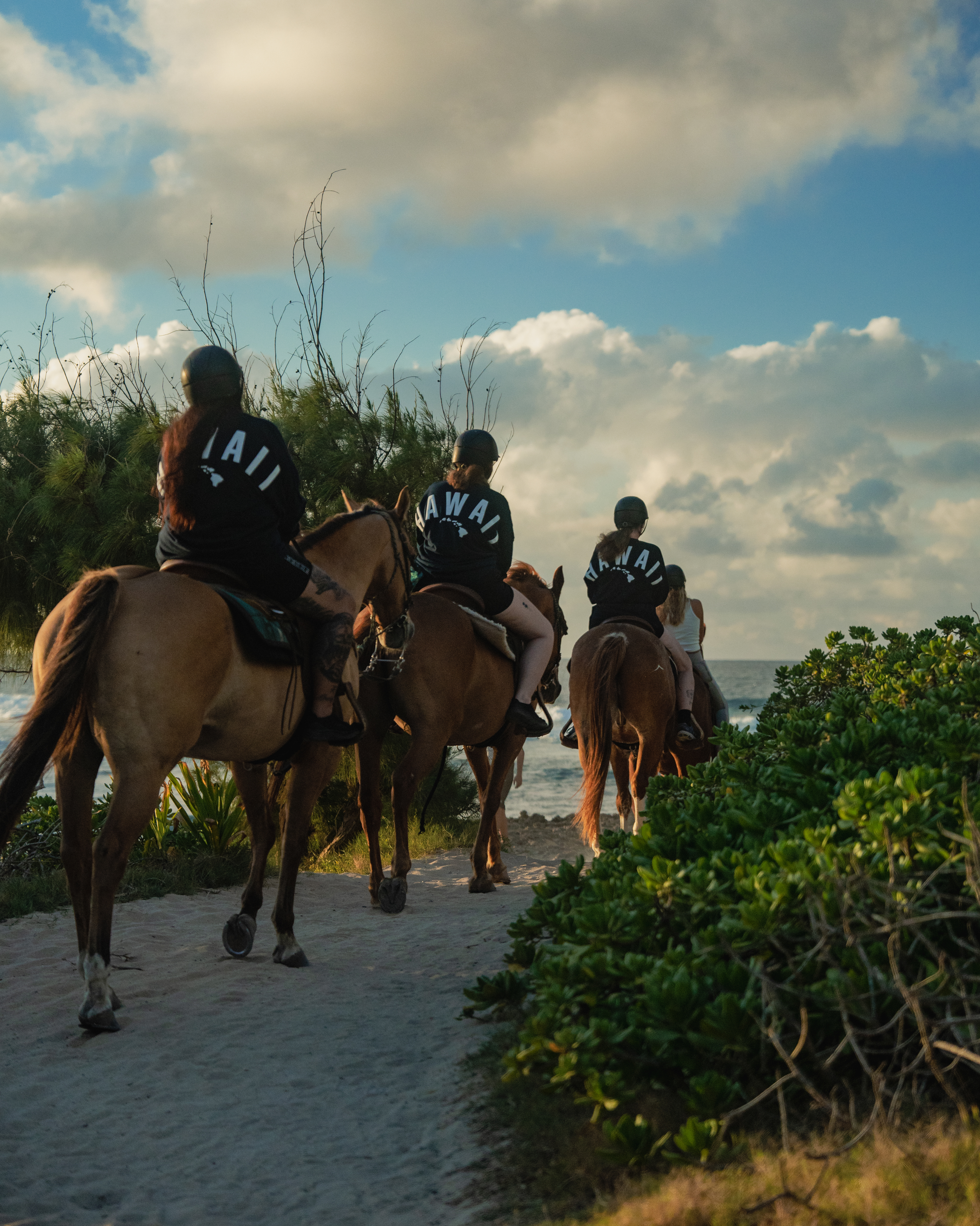 HAWAII 2024: Turtle Bay Pillbox