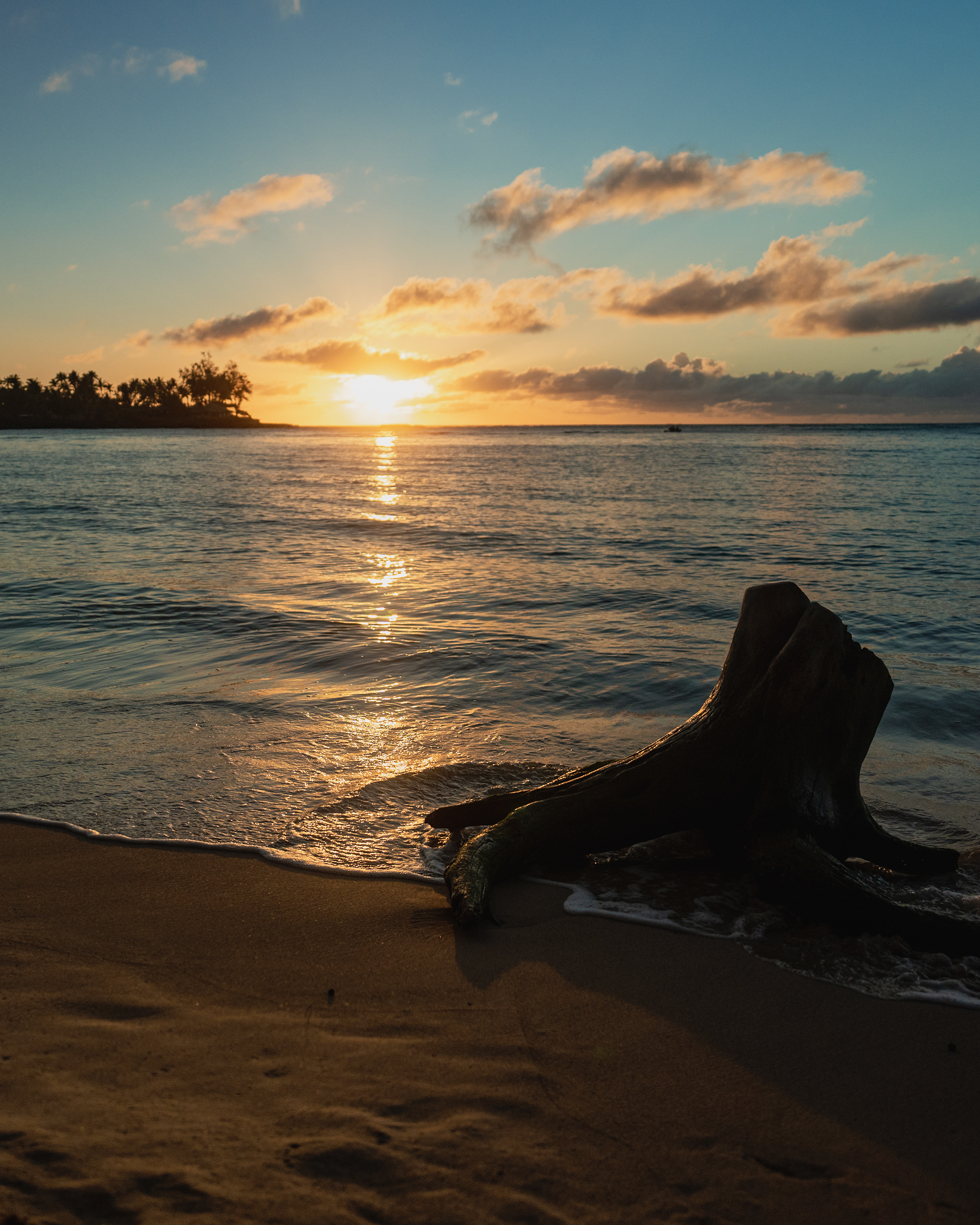 HAWAII 2024: Turtle Bay