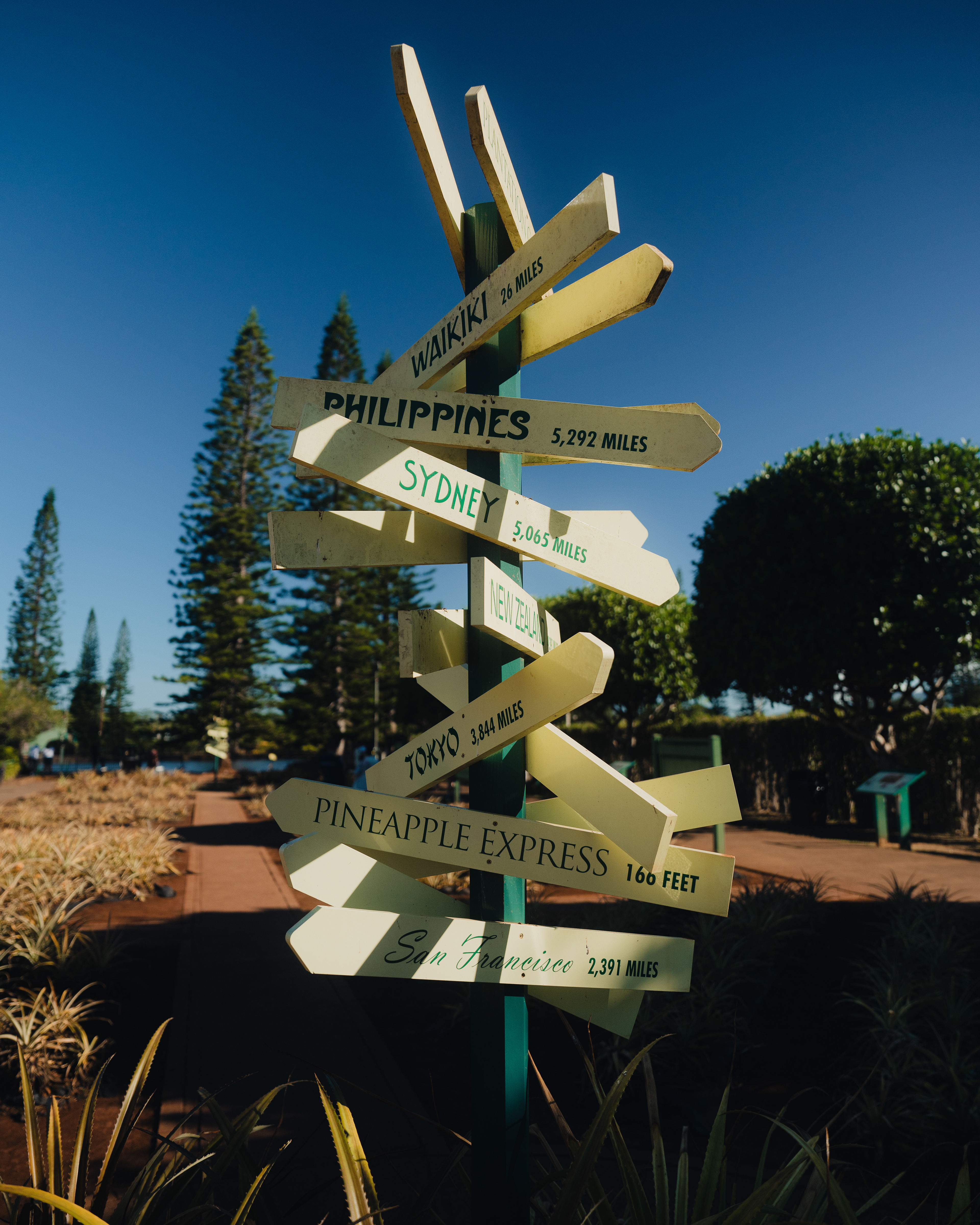 HAWAII 2024: Dole Plantation